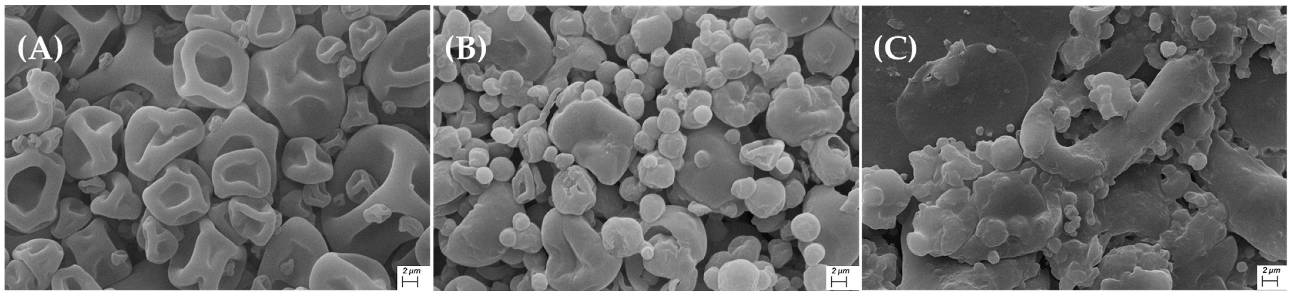 Polymers 17 02371 g006