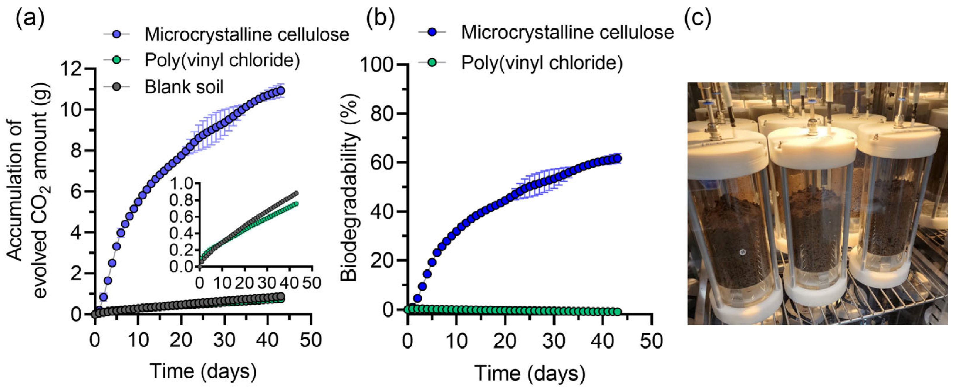 Polymers 17 02376 g003 Polymers 17 02376 g003