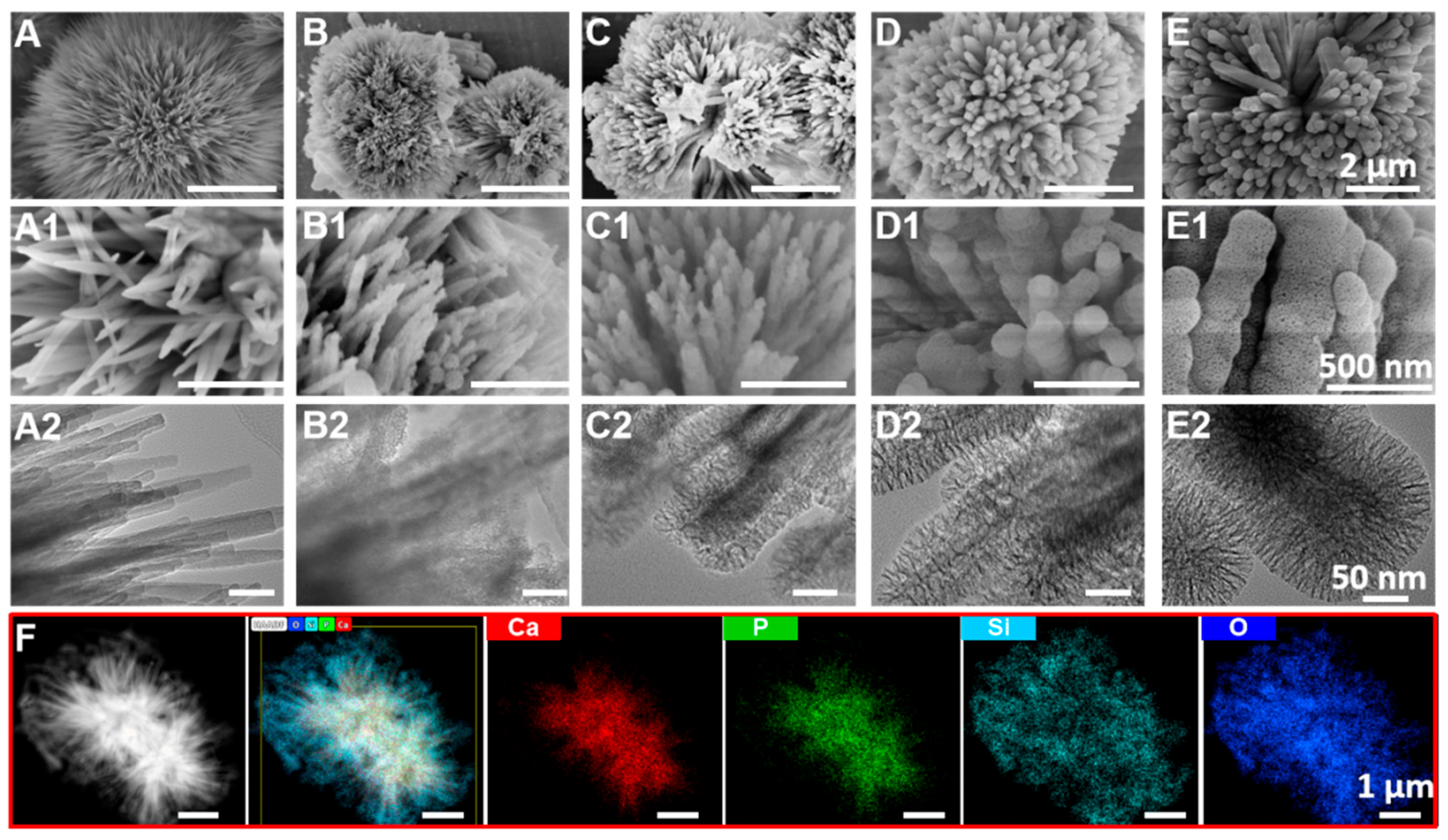 Polymers 17 02384 g002