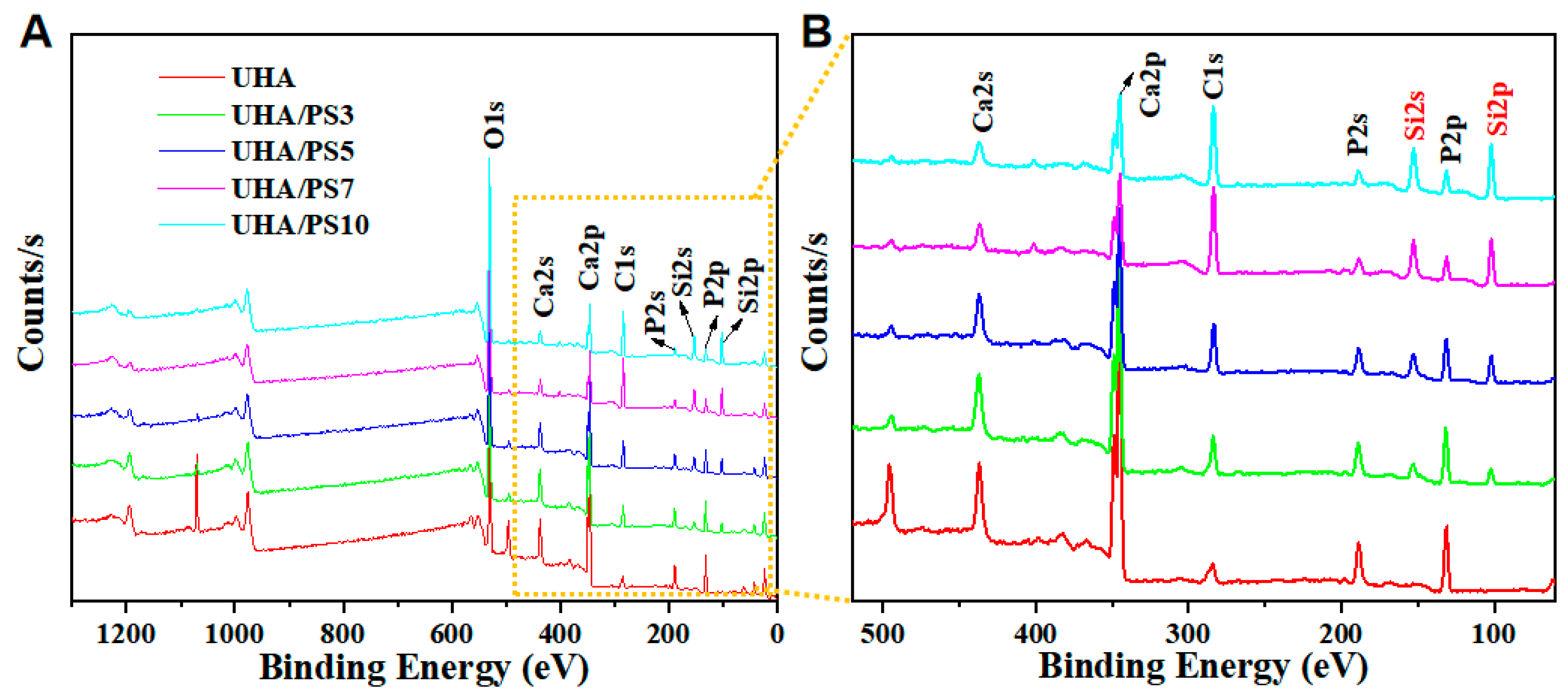 Polymers 17 02384 g004