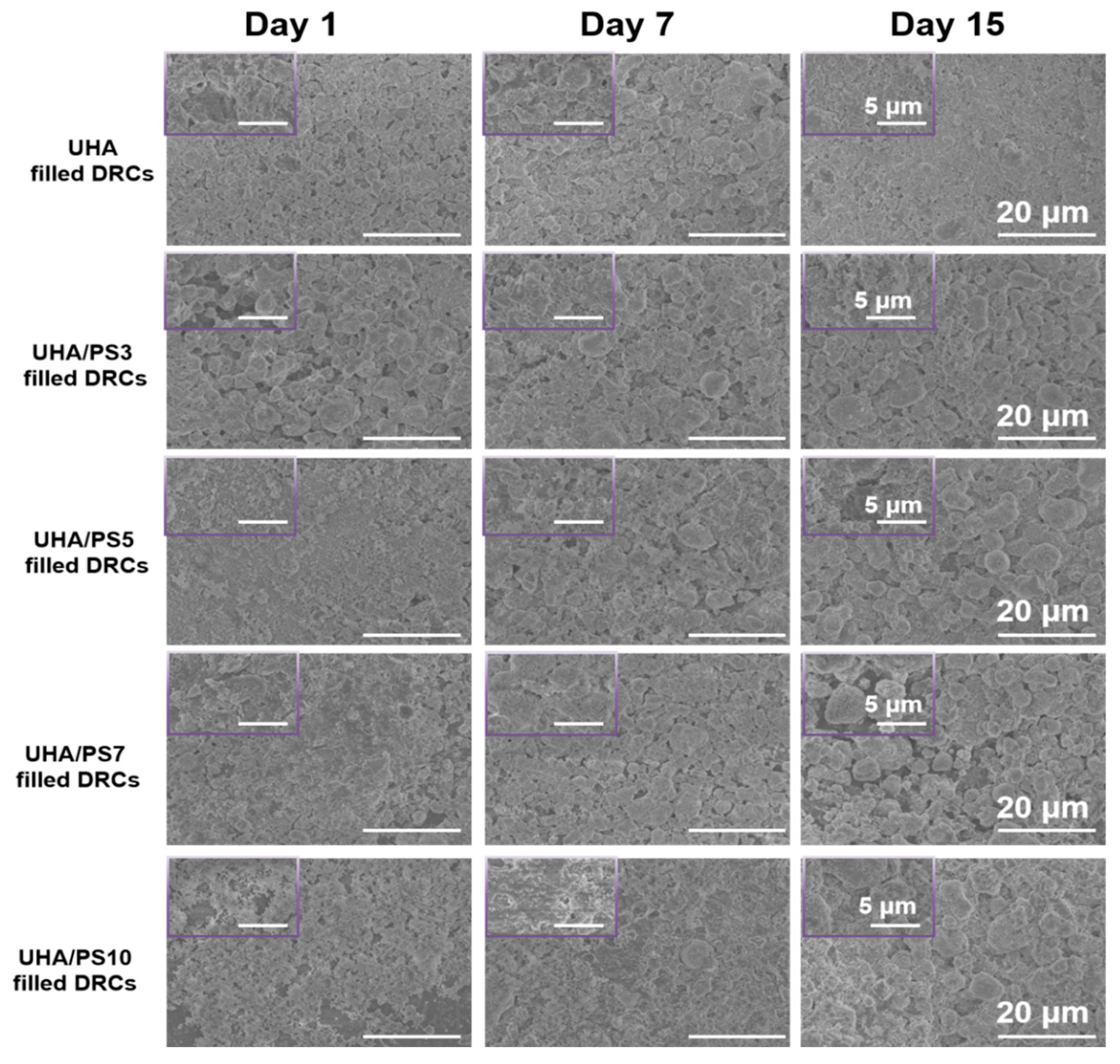 Polymers 17 02384 g008
