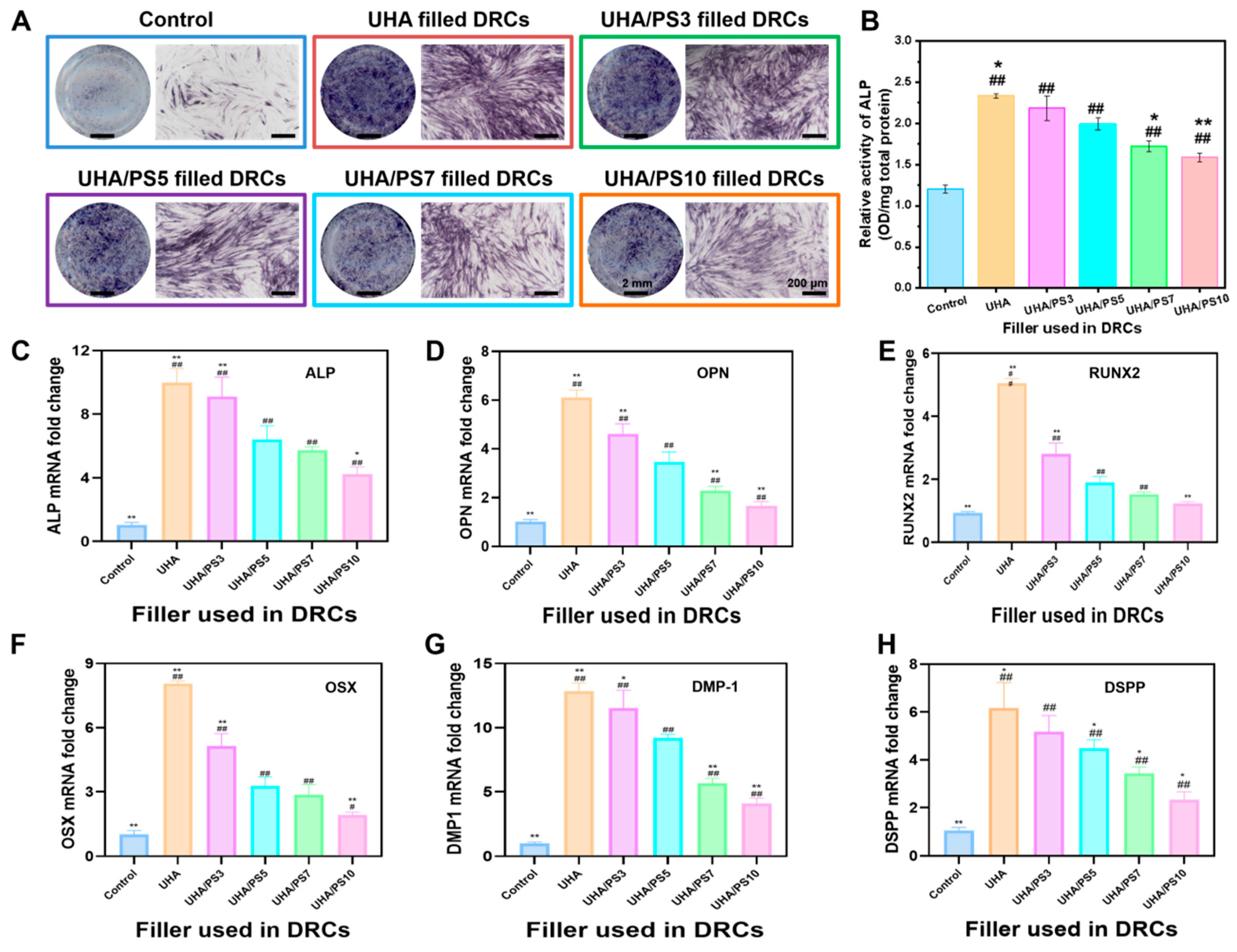 Polymers 17 02384 g010