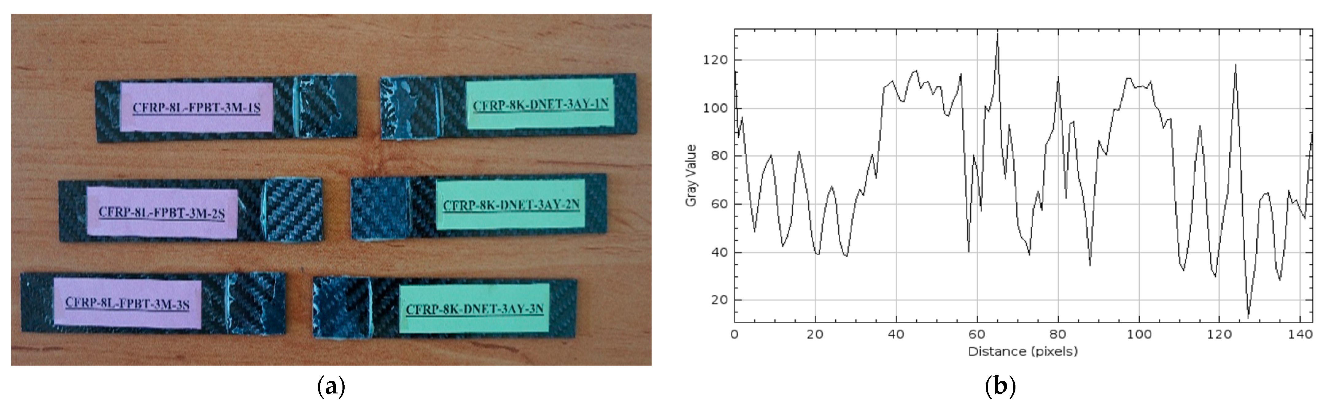 Polymers 17 02412 g019