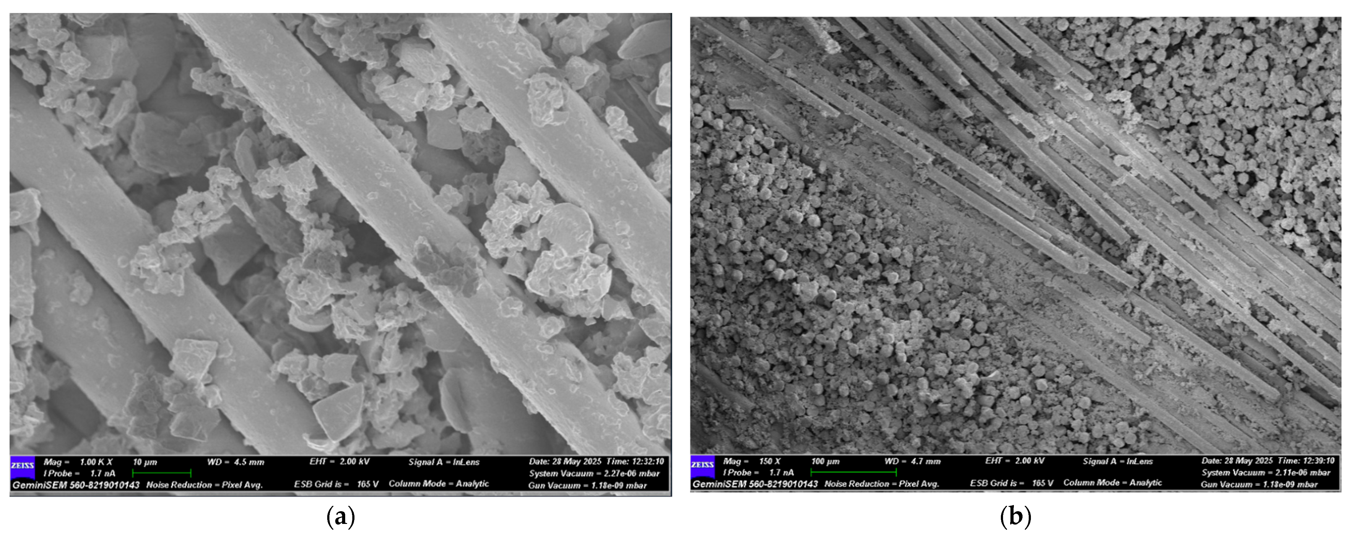 Polymers 17 02412 g022