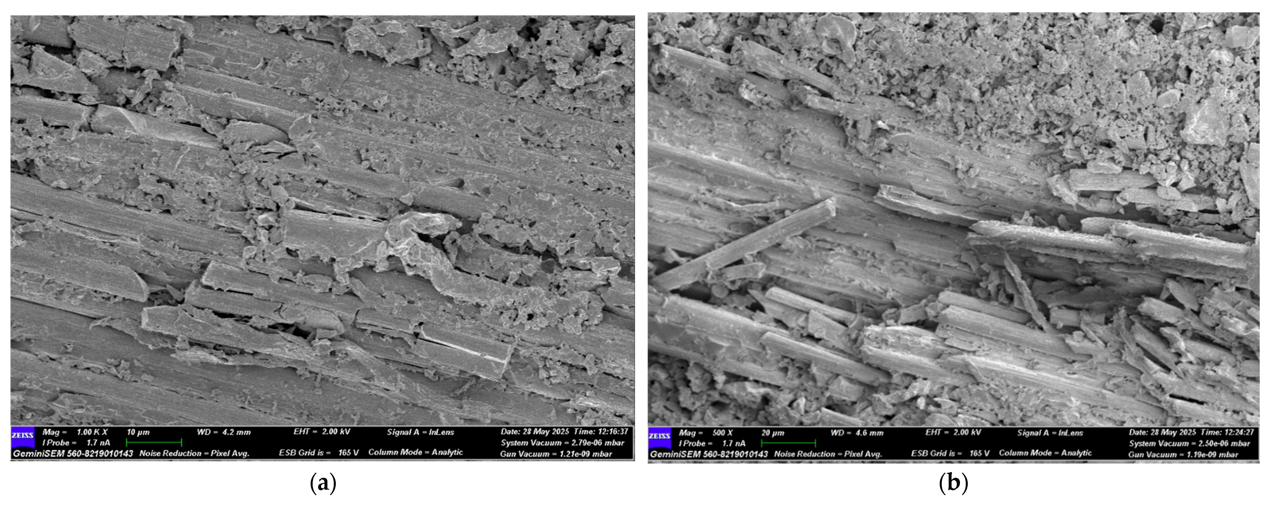 Polymers 17 02412 g023