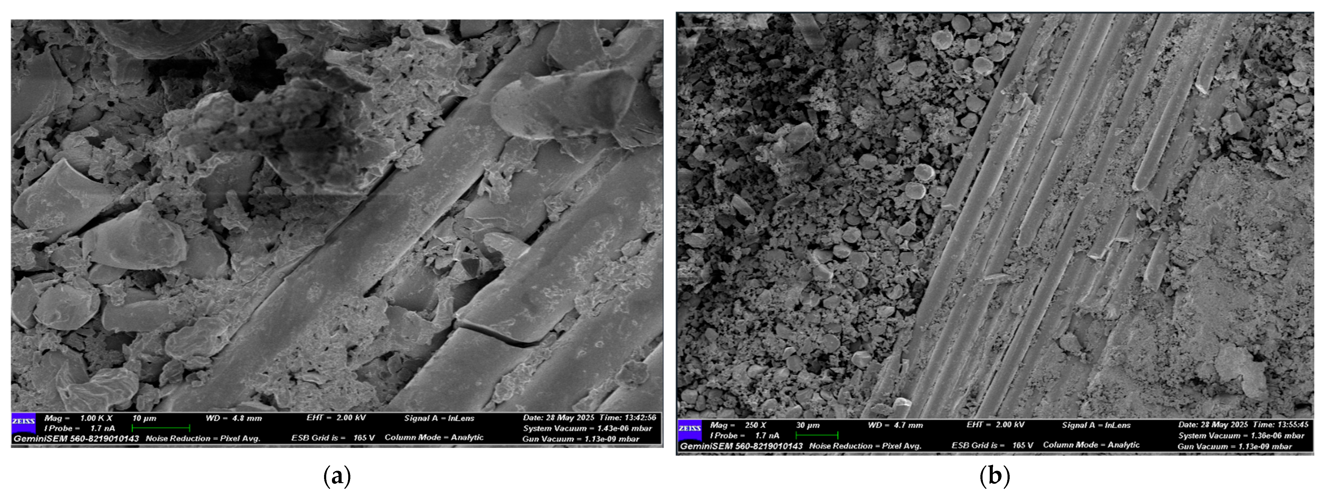 Polymers 17 02412 g027