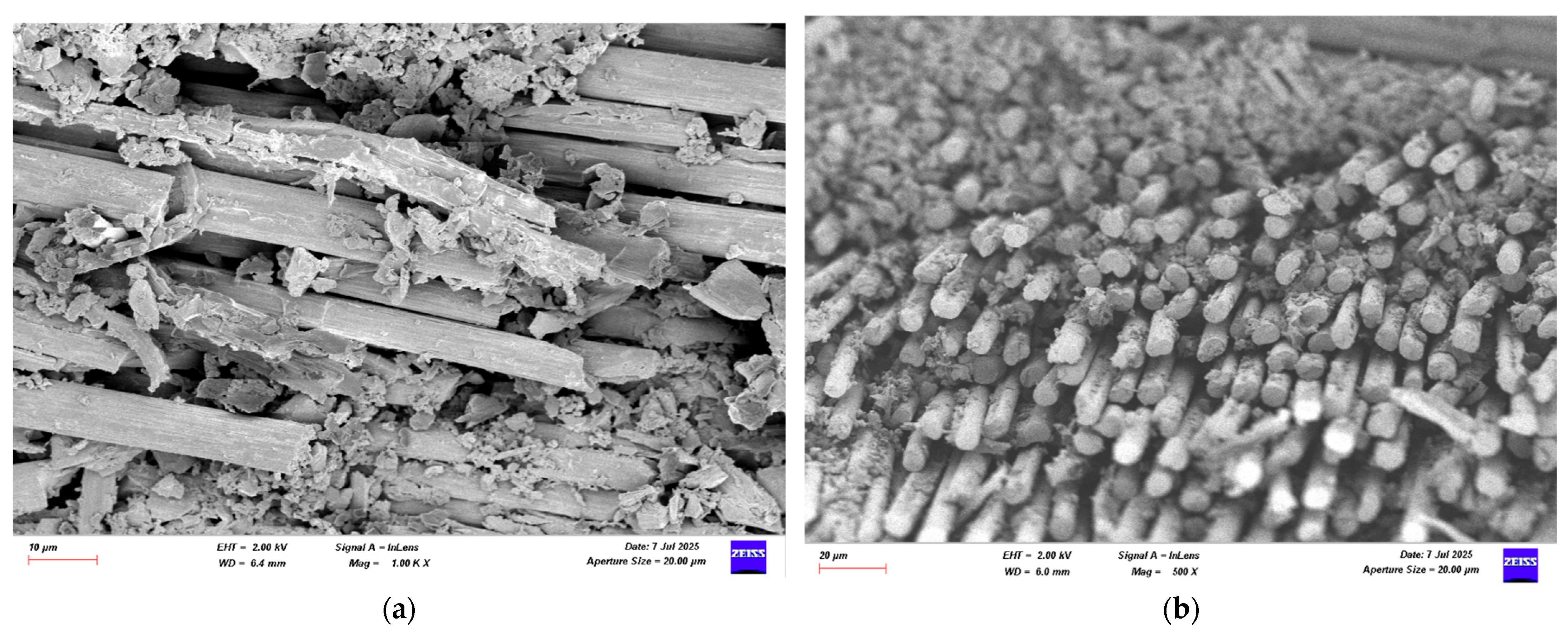 Polymers 17 02412 g028