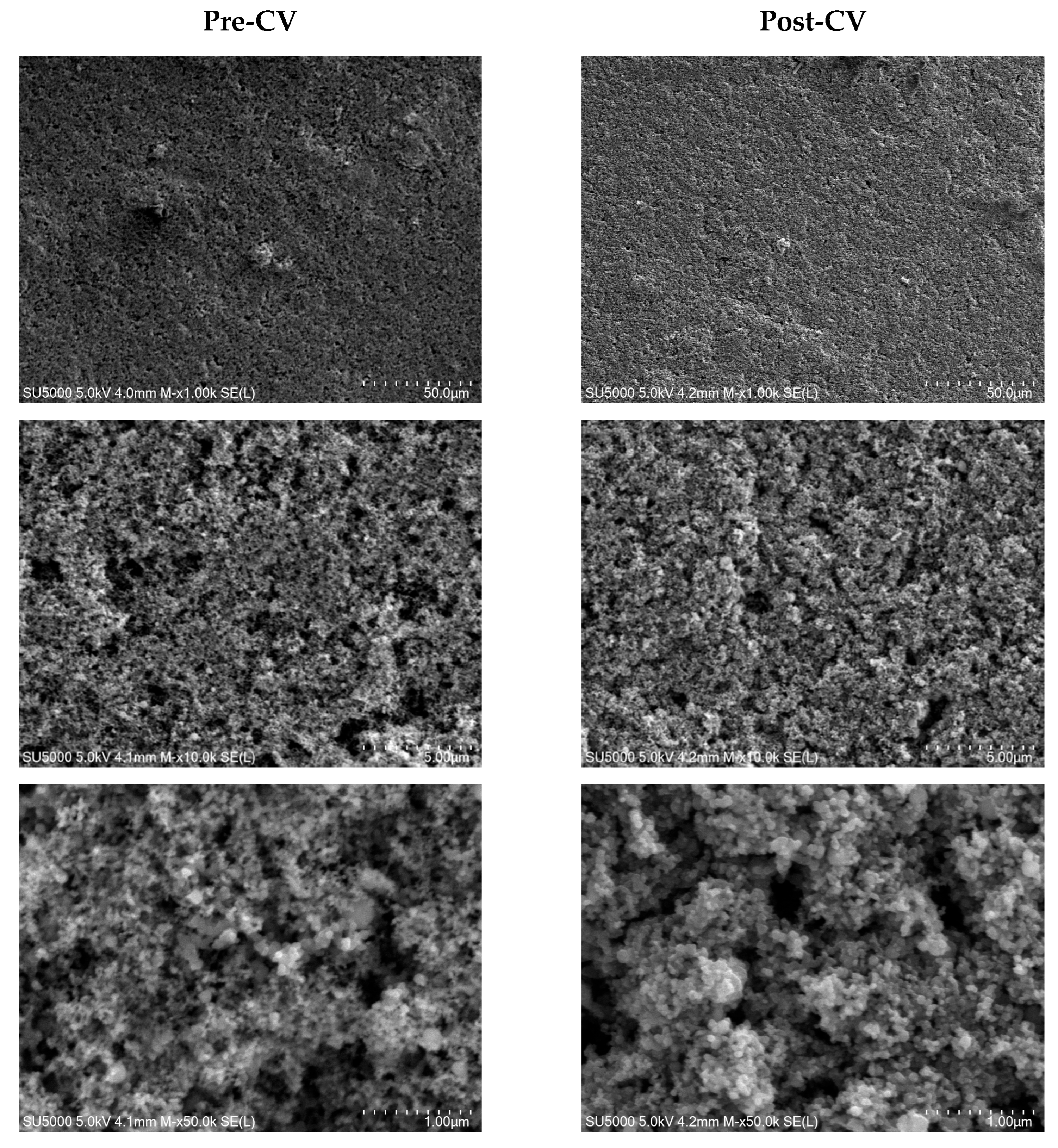 Polymers 17 02414 g006 Polymers 17 02414 g006