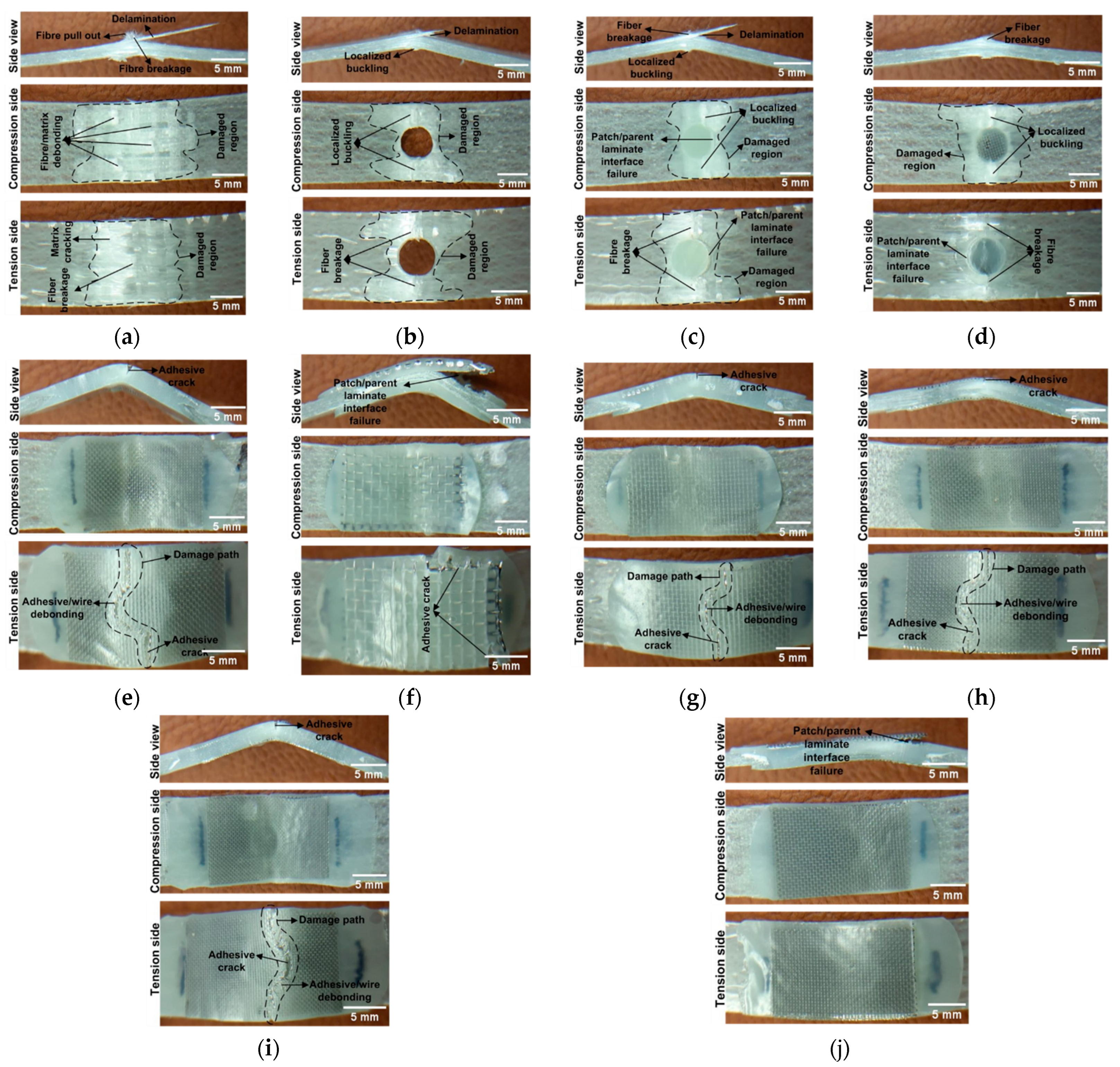 Polymers 17 02417 g009 Polymers 17 02417 g009