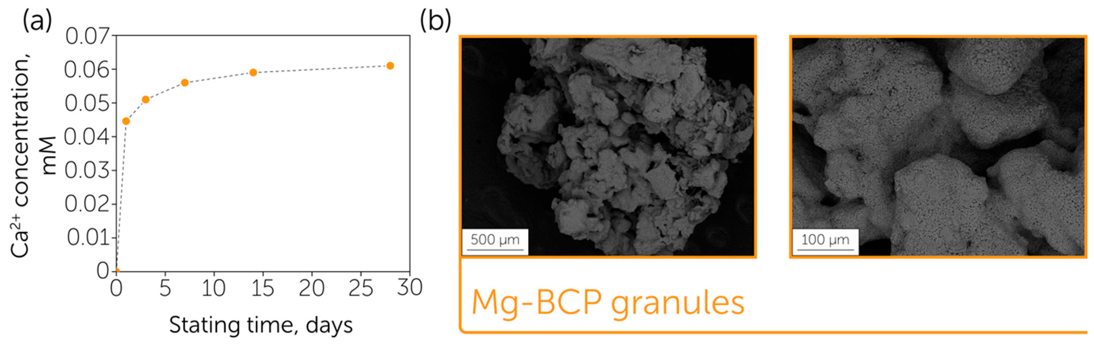 Polymers 17 02422 g003 Polymers 17 02422 g003