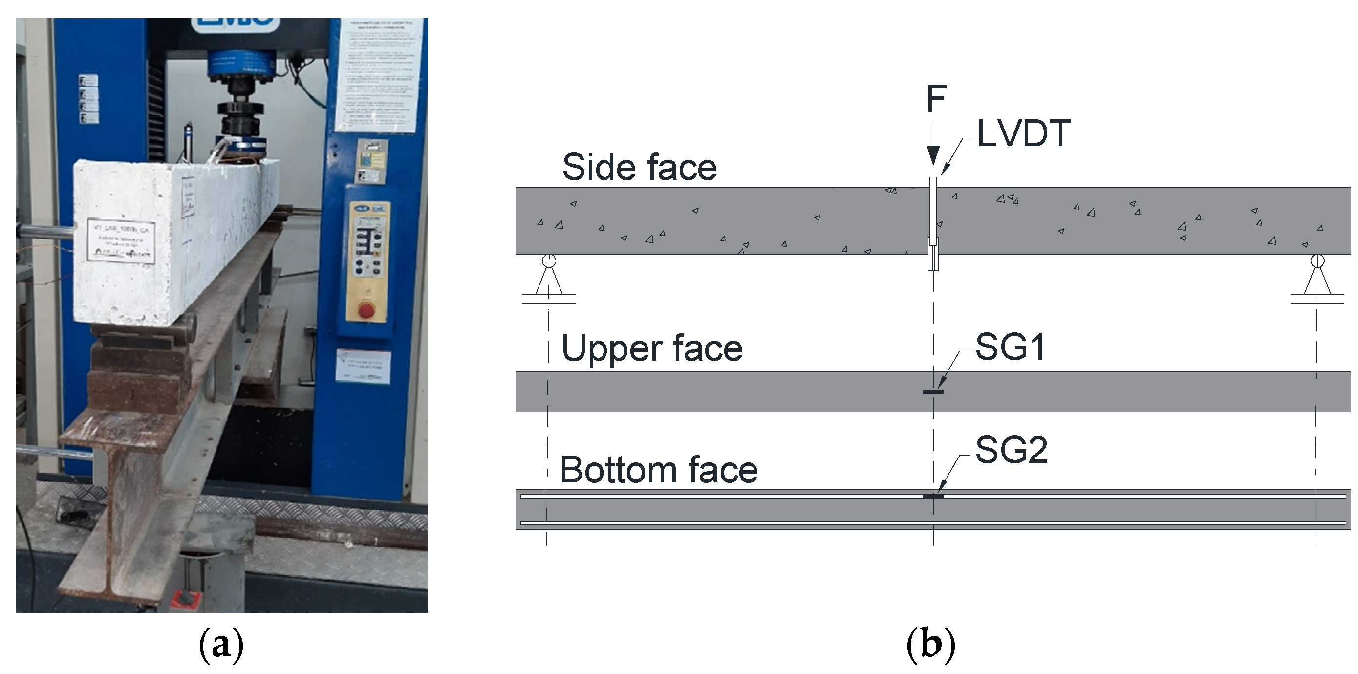 Polymers 17 02423 g008