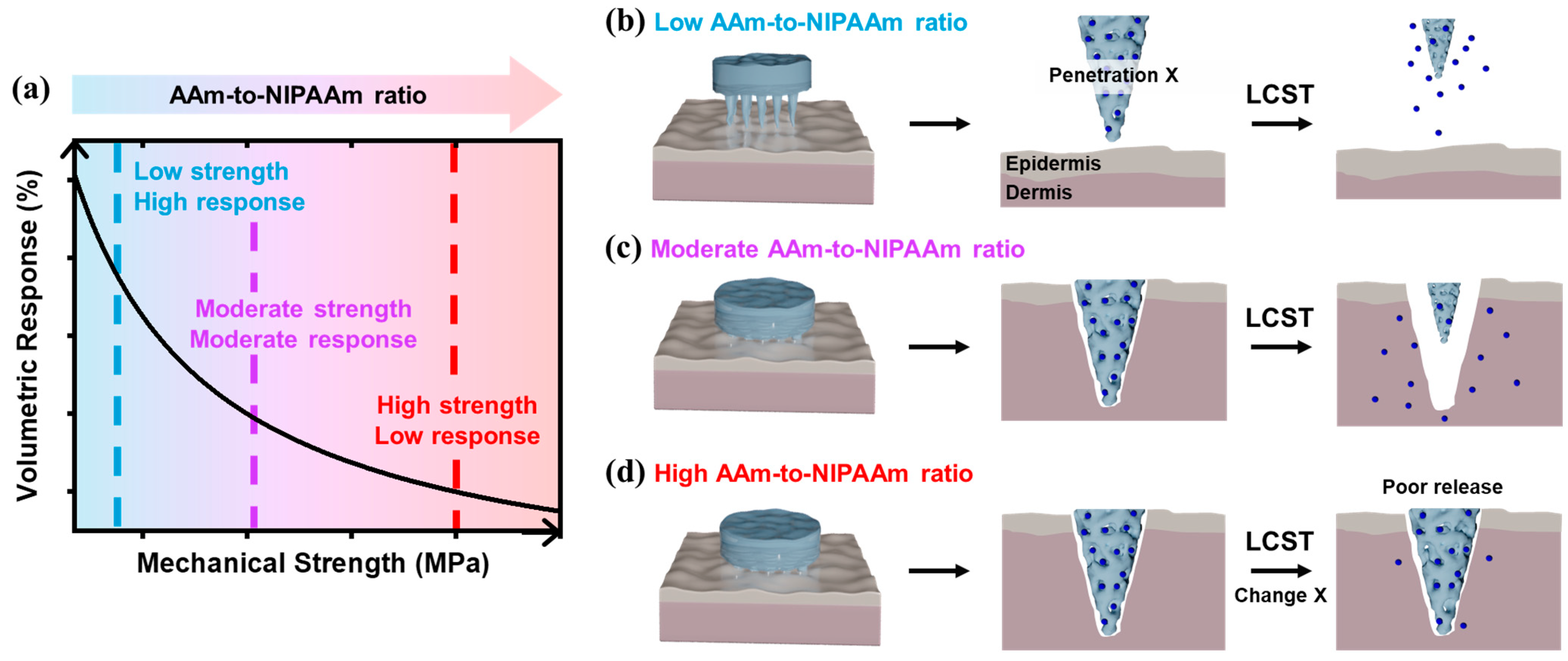 Polymers 17 02424 g001 Polymers 17 02424 g001