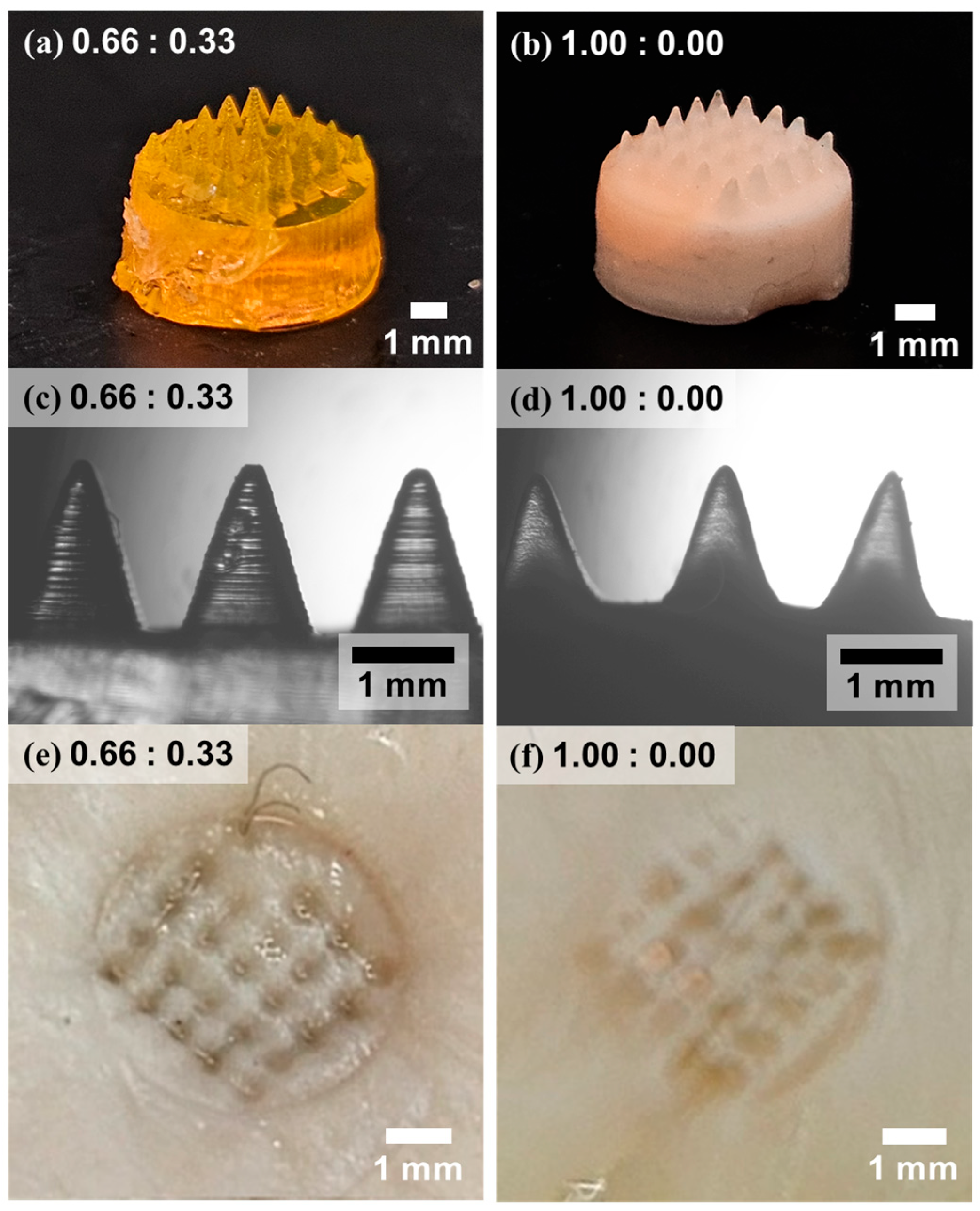 Polymers 17 02424 g007 Polymers 17 02424 g007