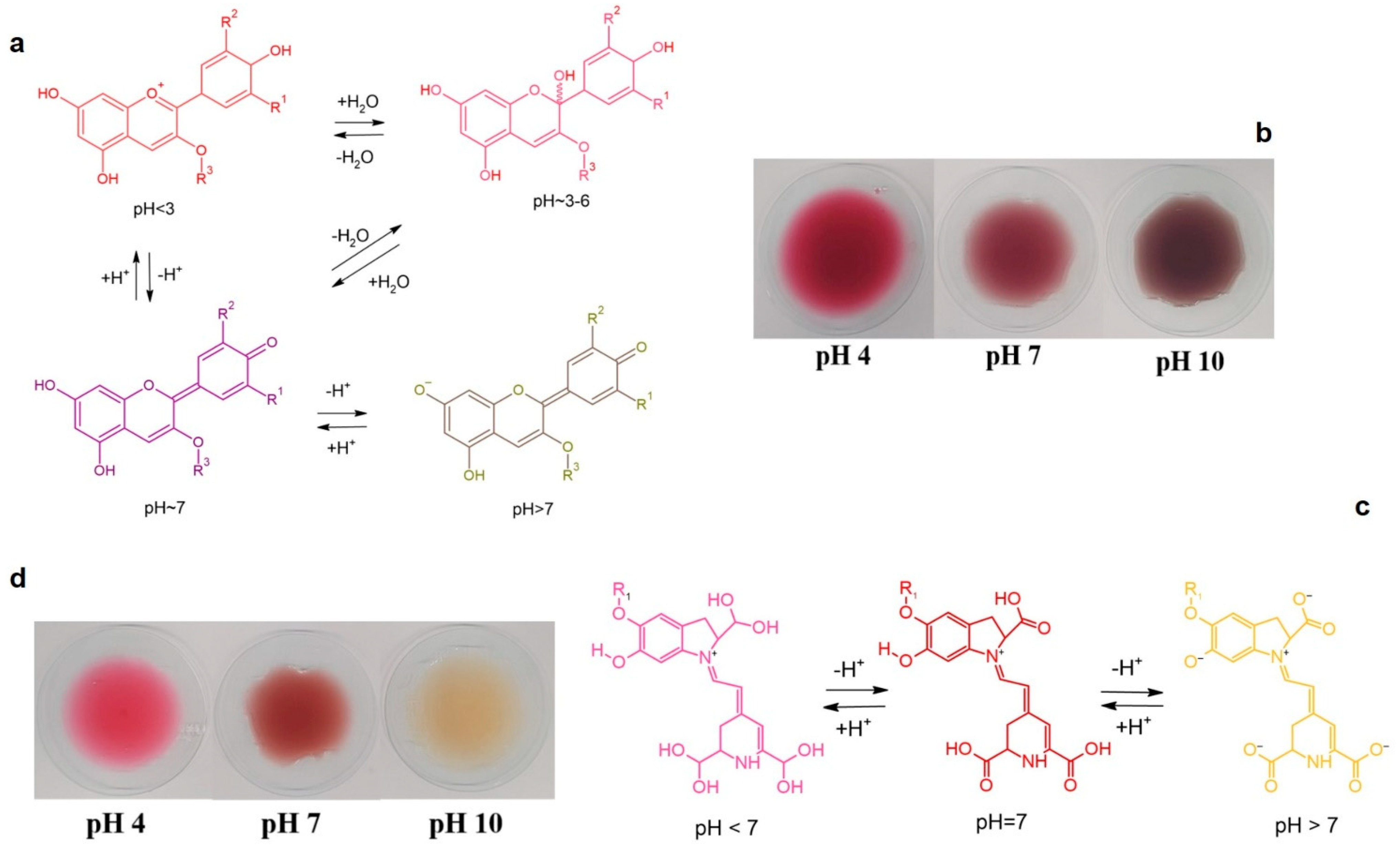Polymers 17 02425 g003