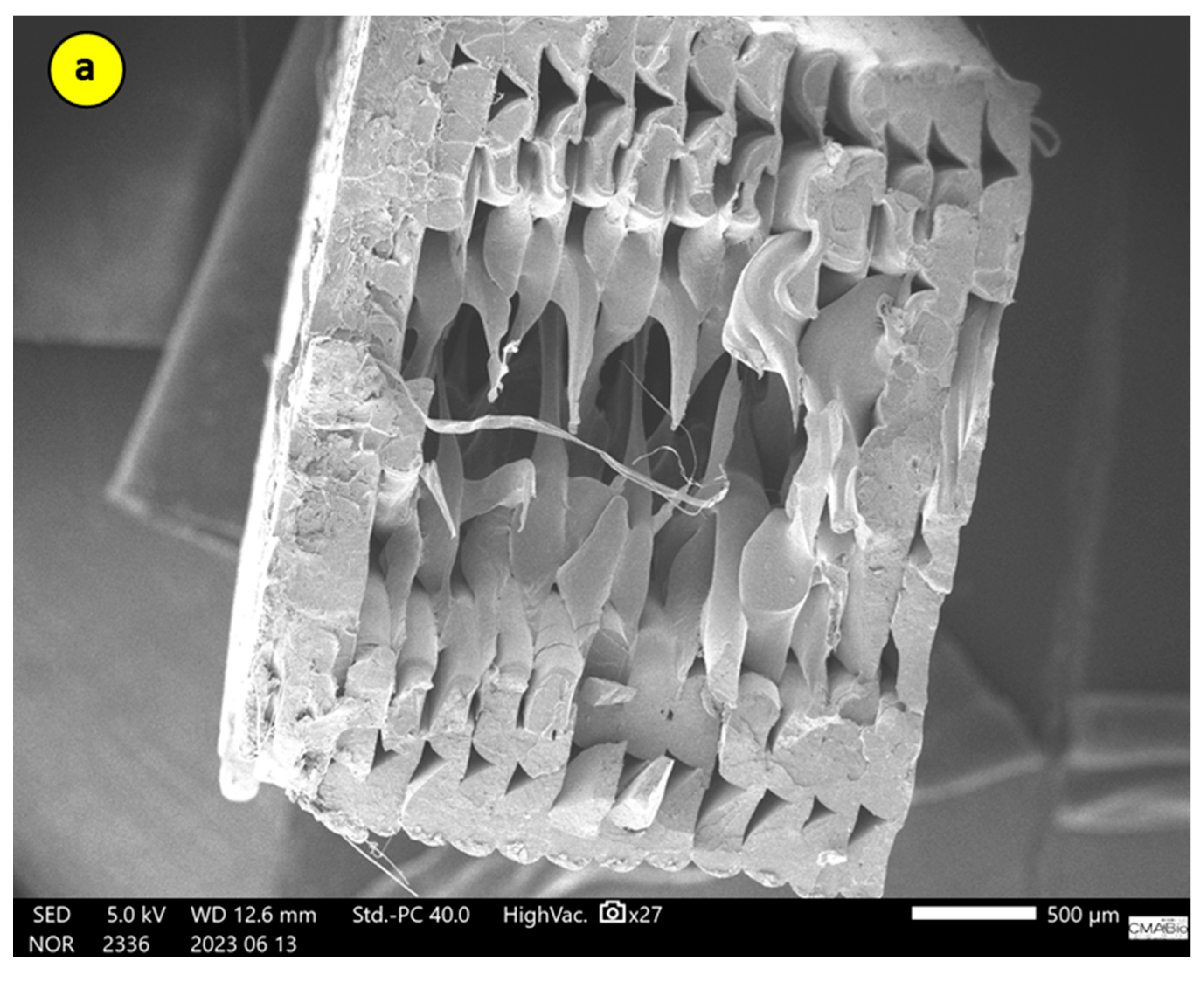 Polymers 17 02426 g028a