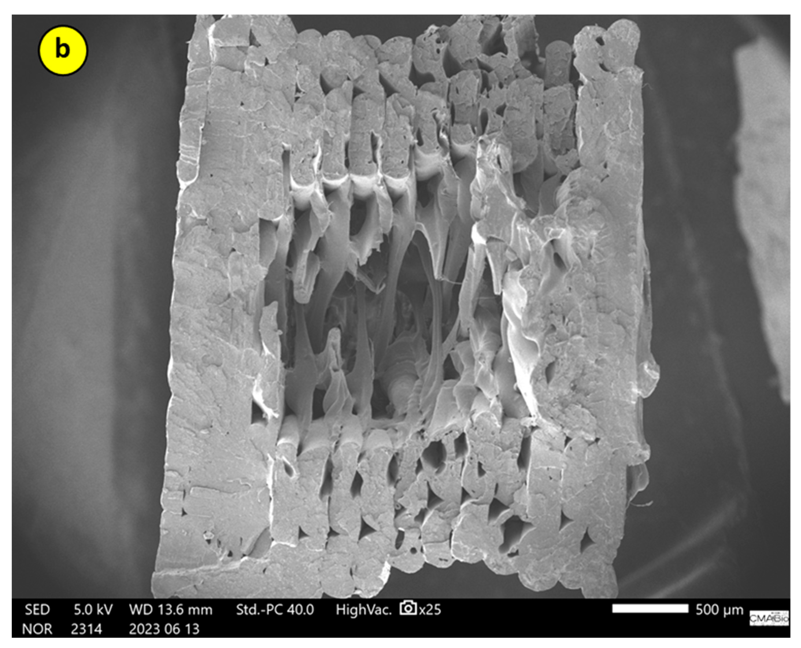 Polymers 17 02426 g028b