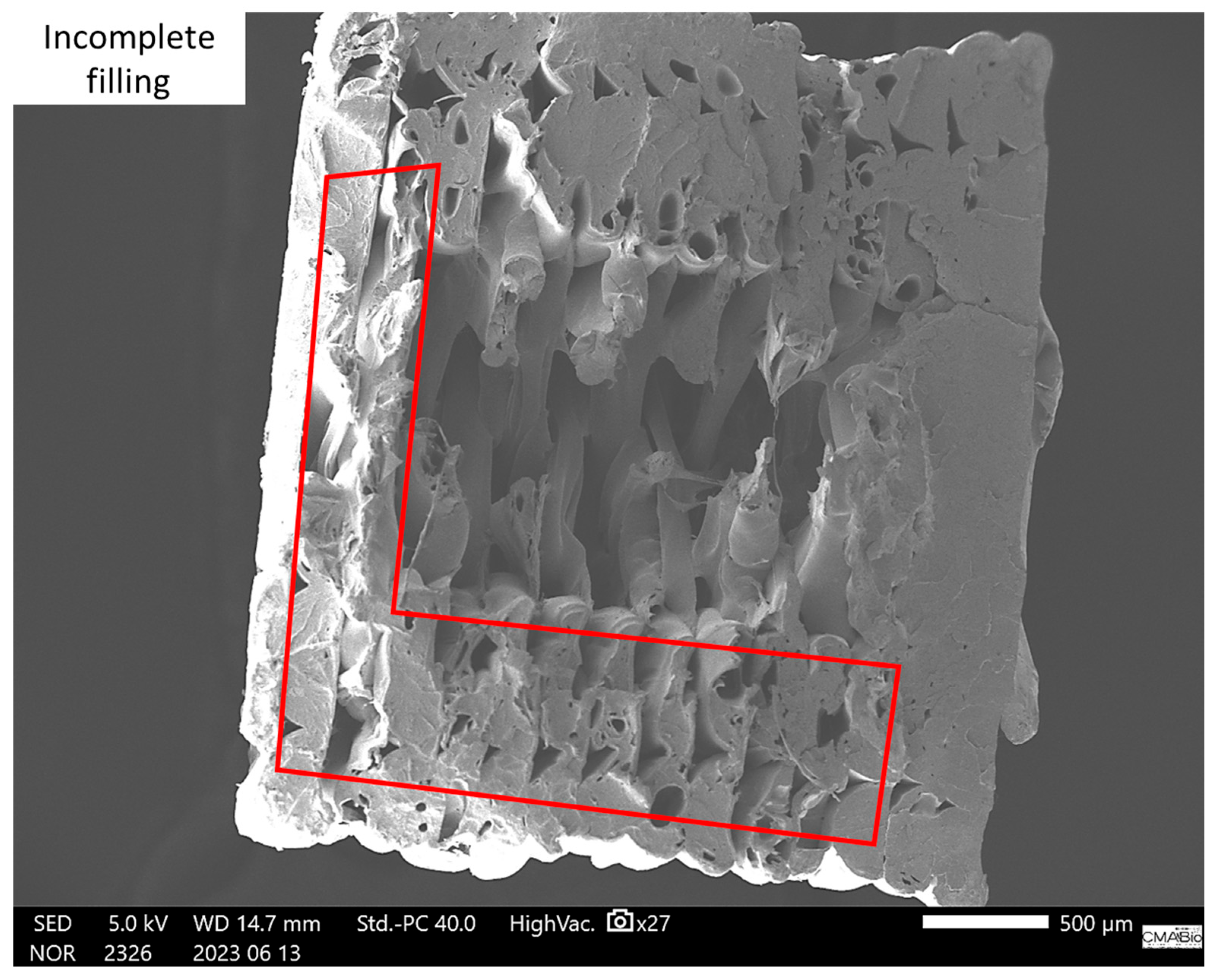 Polymers 17 02426 g030