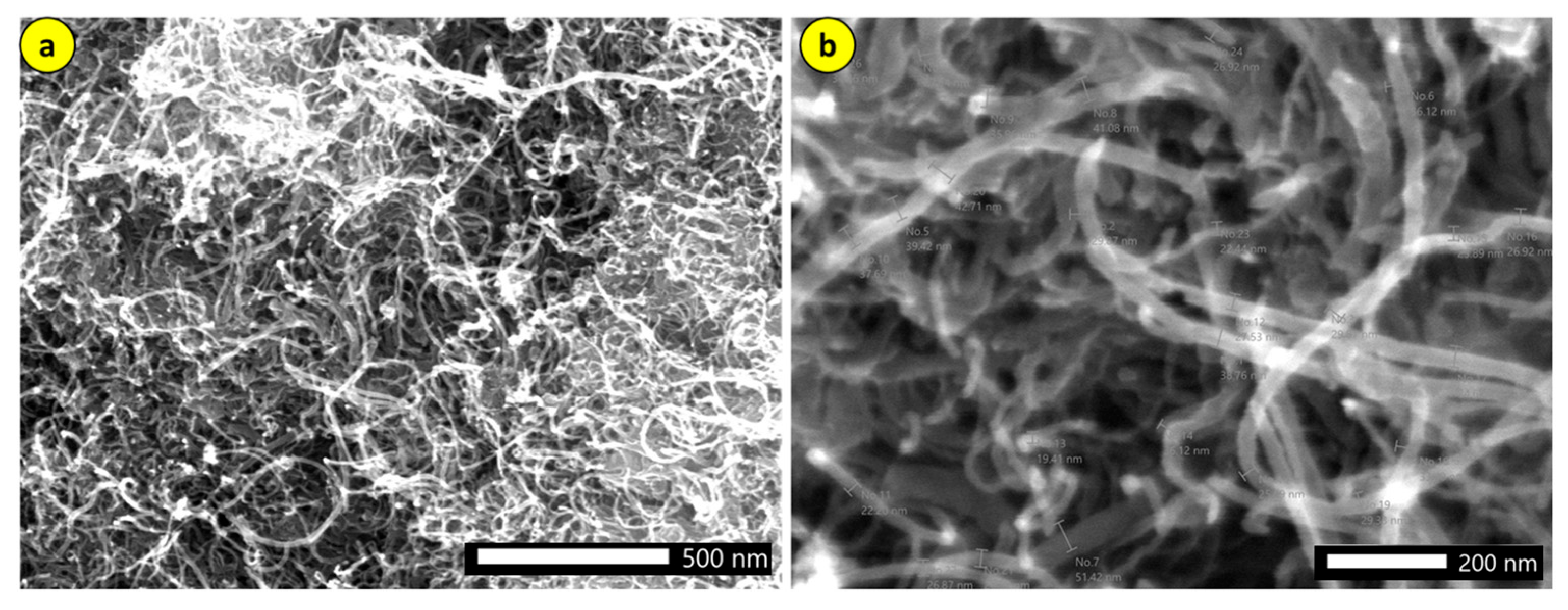 Polymers 17 02426 g031