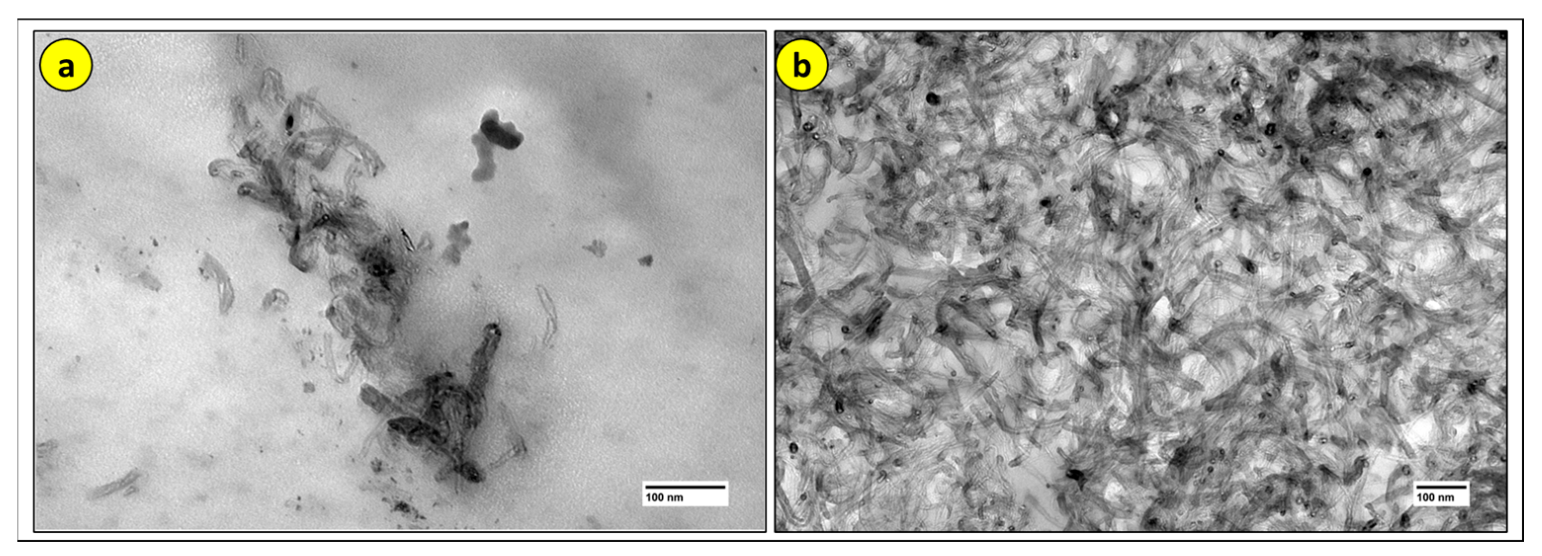 Polymers 17 02426 g032