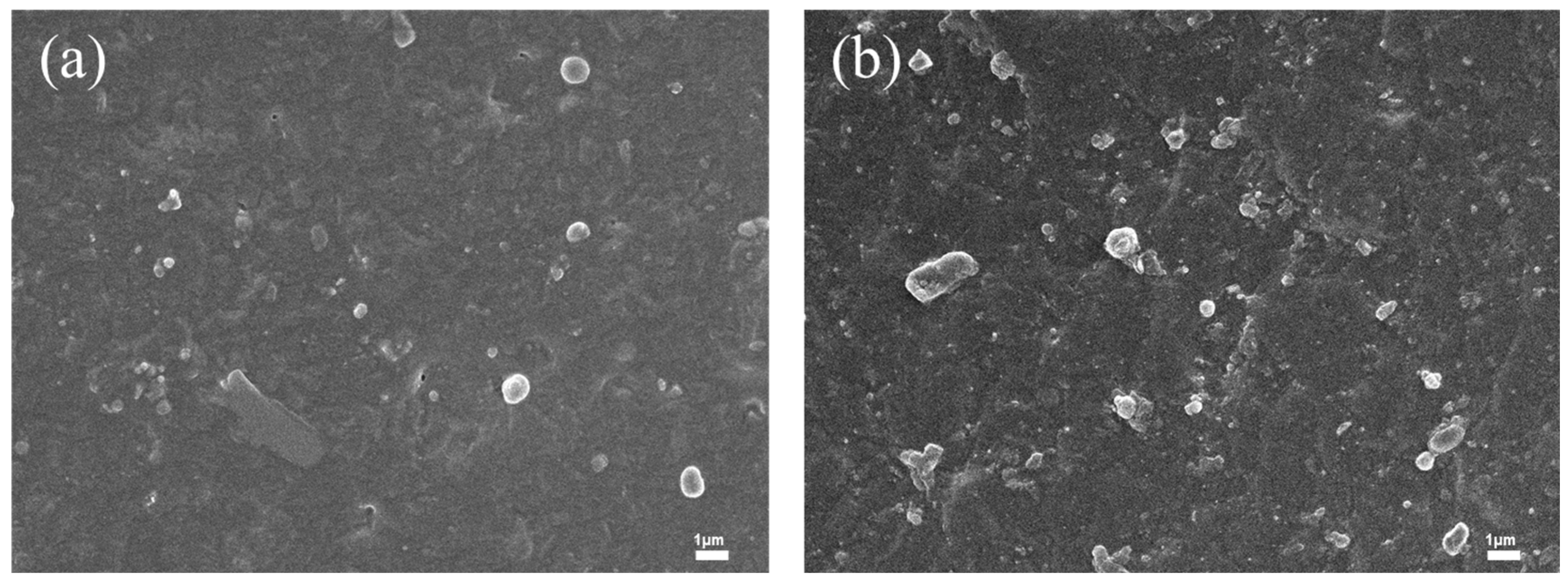 Polymers 17 02436 g004 Polymers 17 02436 g004