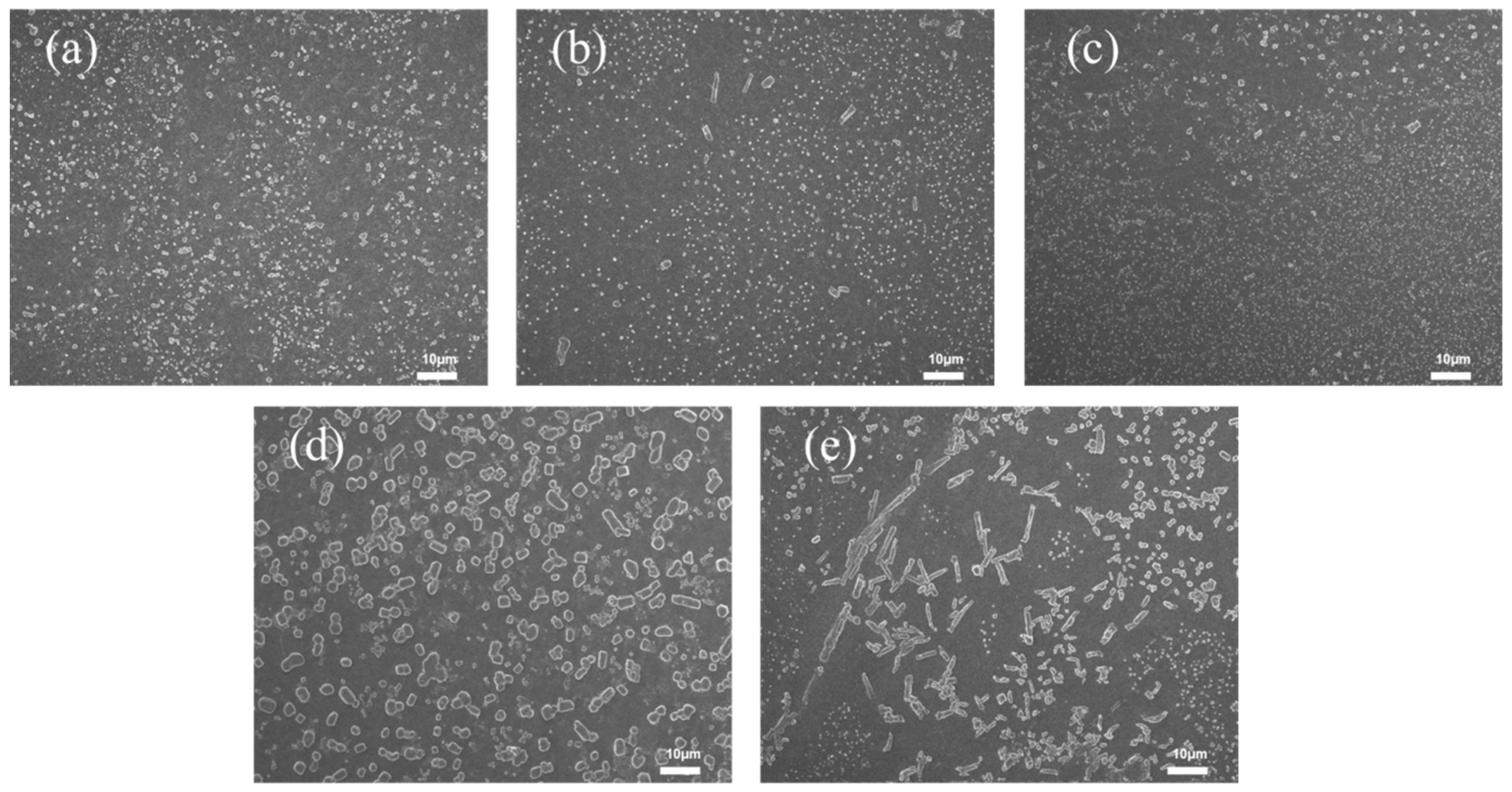 Polymers 17 02436 g011 Polymers 17 02436 g011