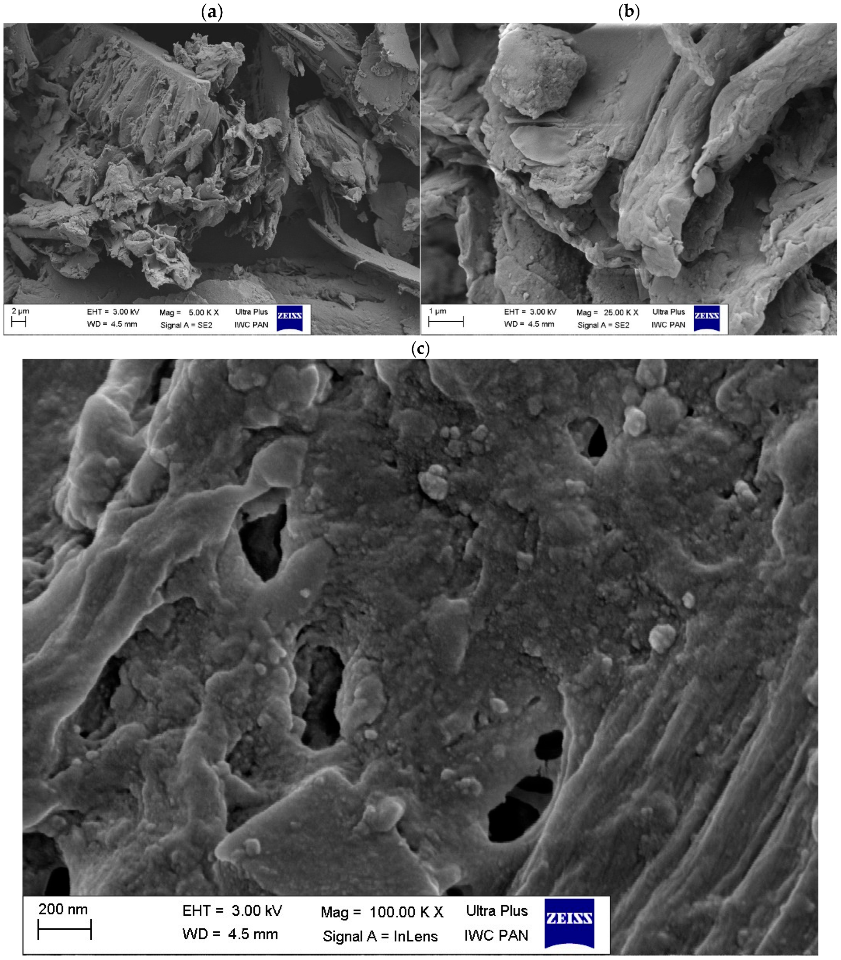 Polymers 17 02440 g005