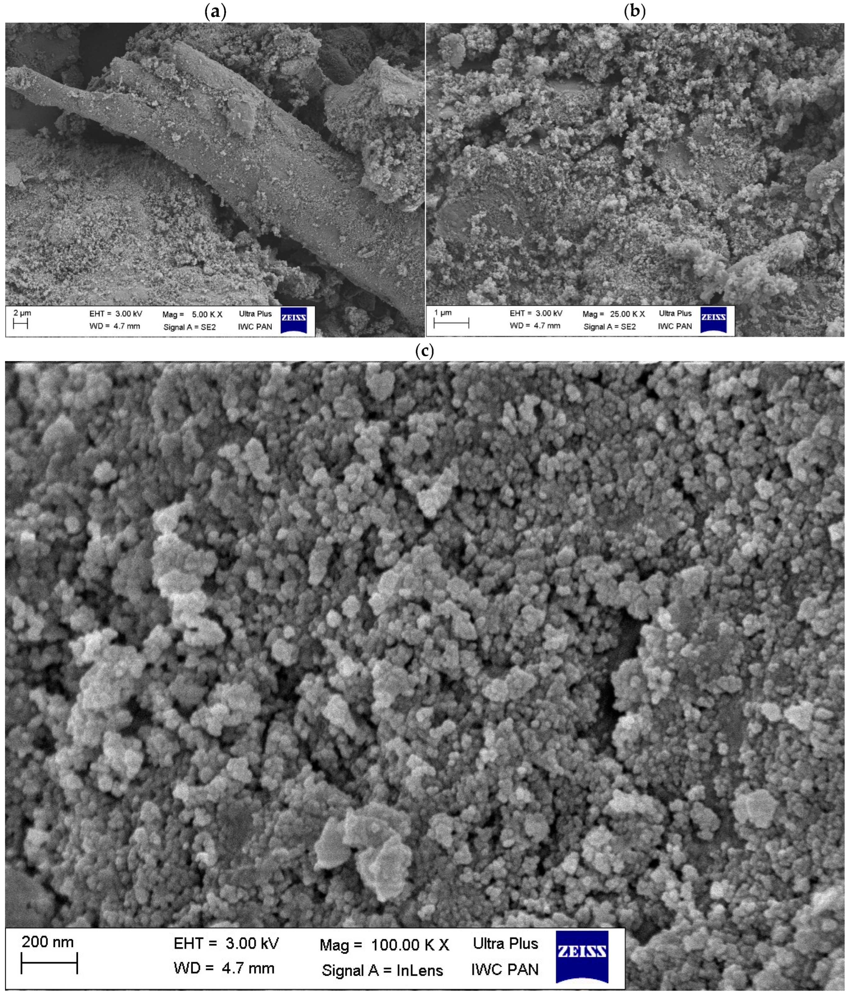 Polymers 17 02440 g006