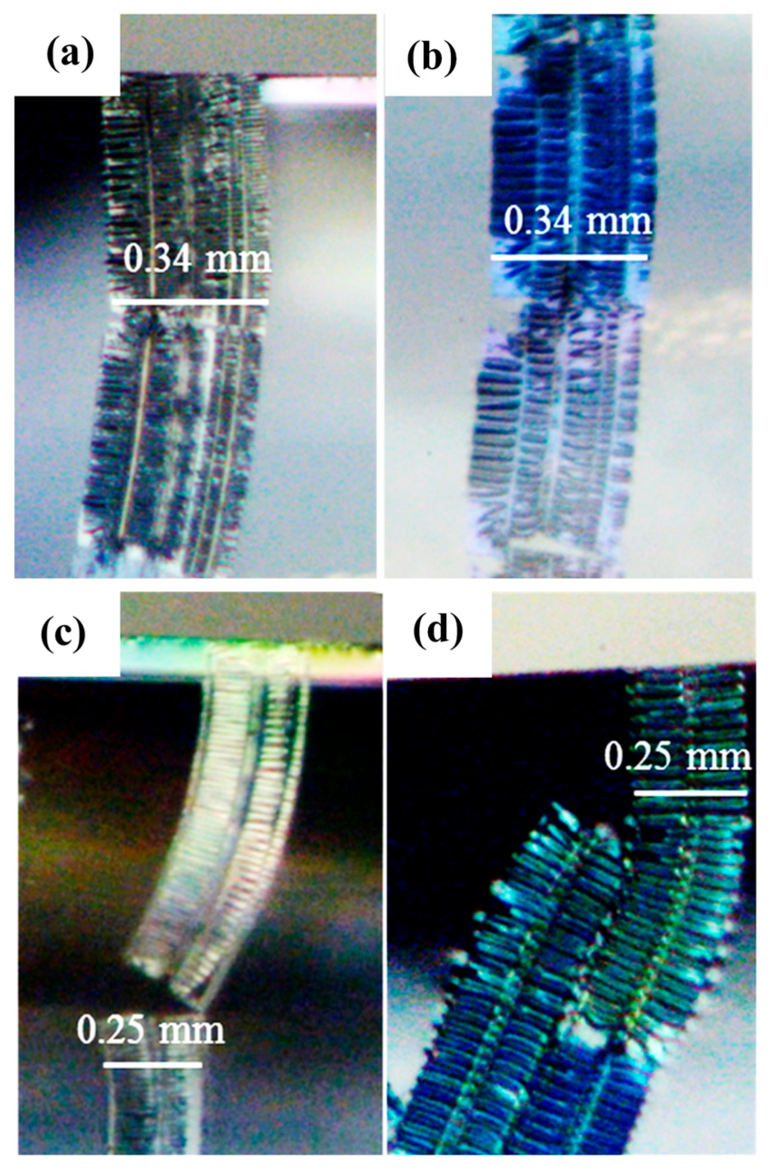 Polymers 17 02441 g012