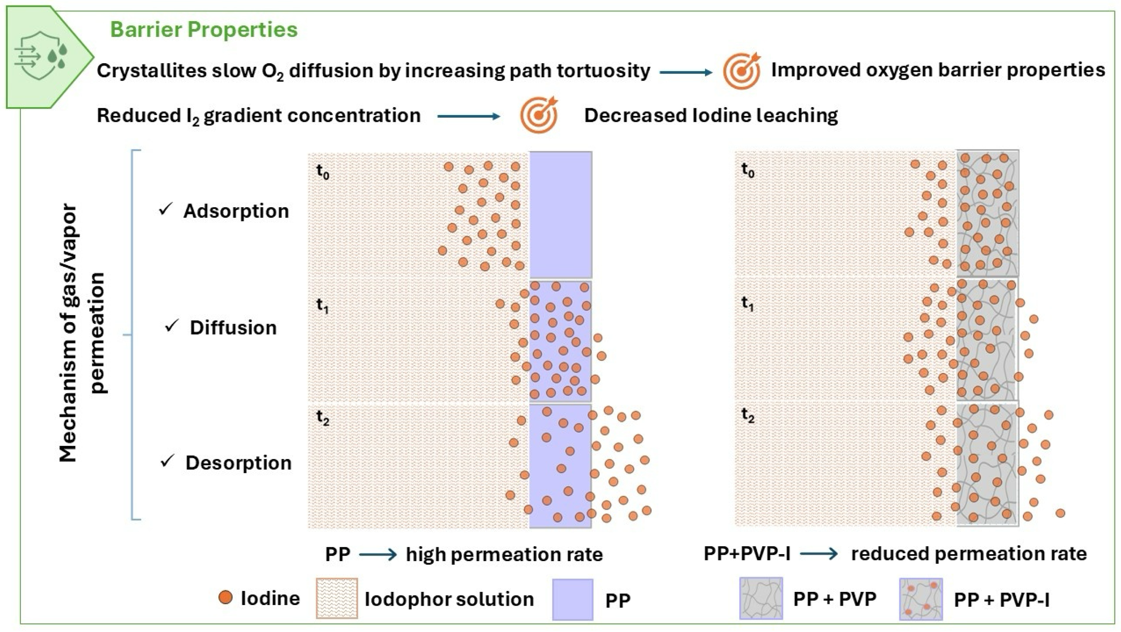 Polymers 17 02442 g011