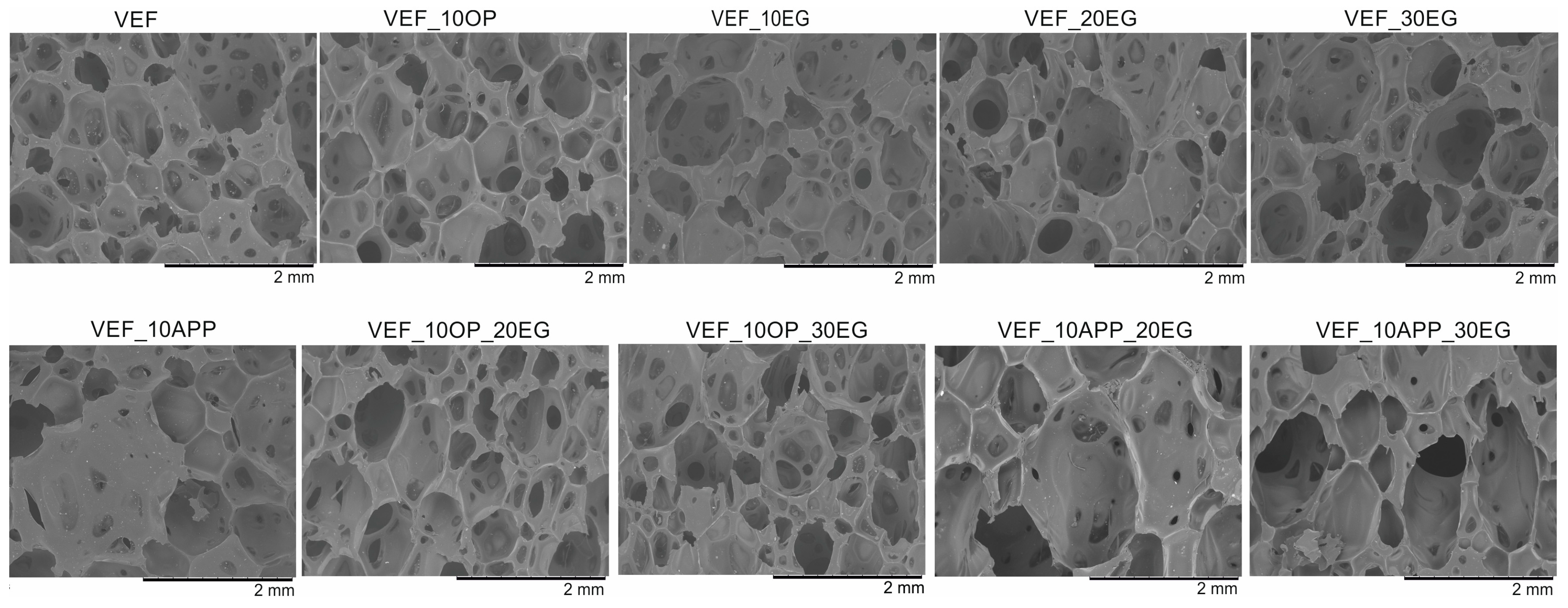Polymers 17 02459 g011