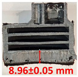 Polymers 17 02462 i010