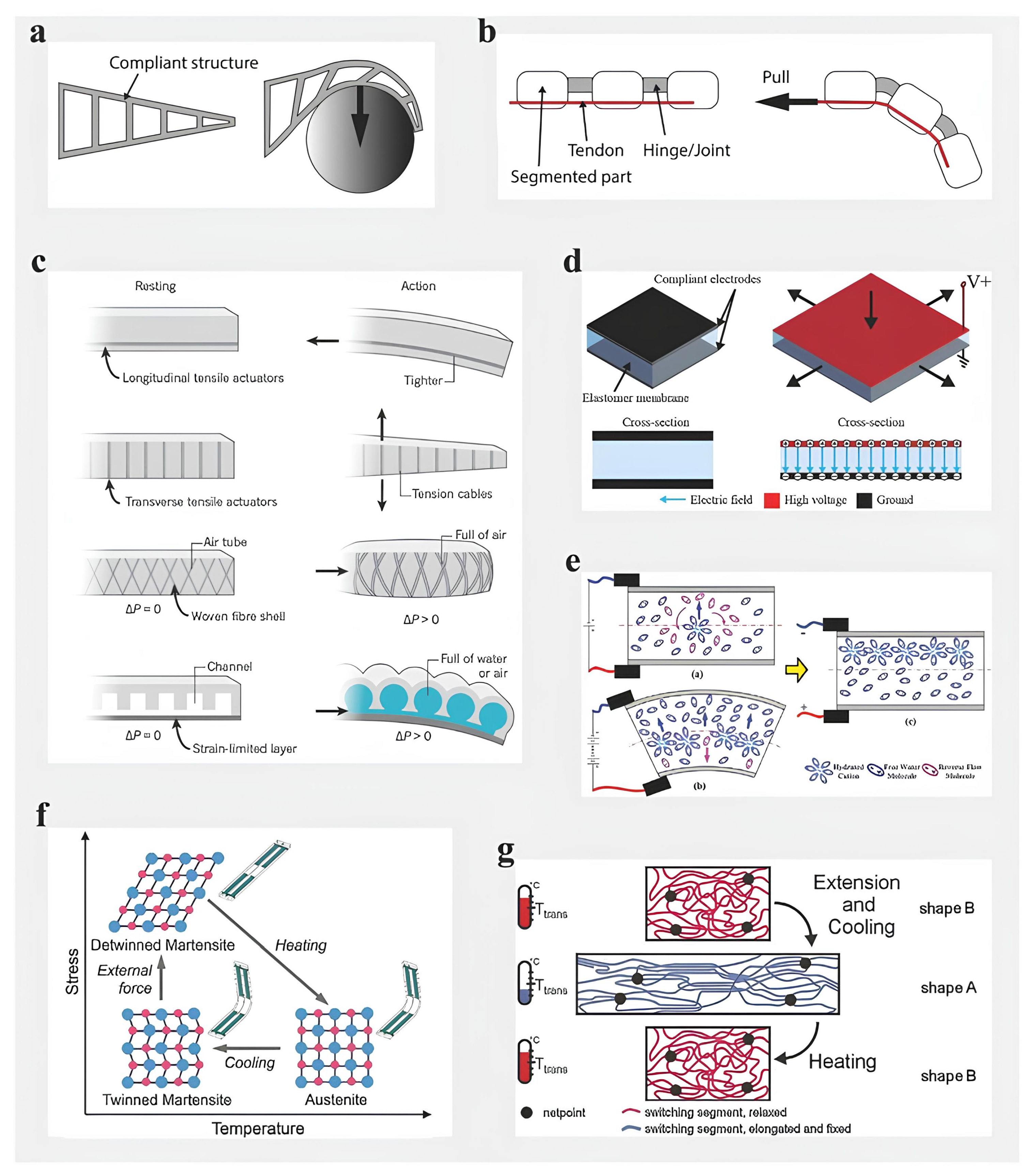 Polymers 17 02464 g006