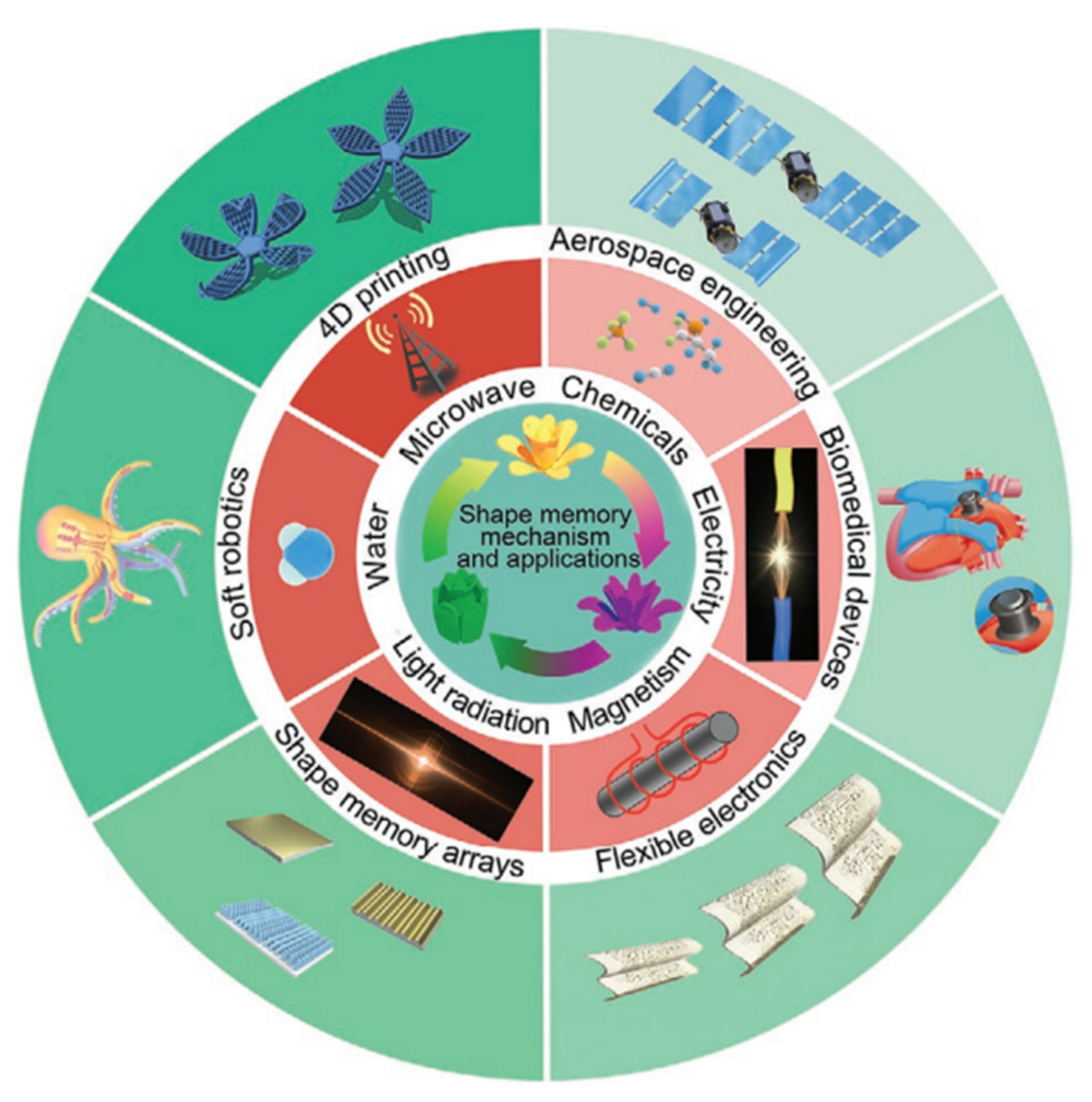 Polymers 17 02464 g007
