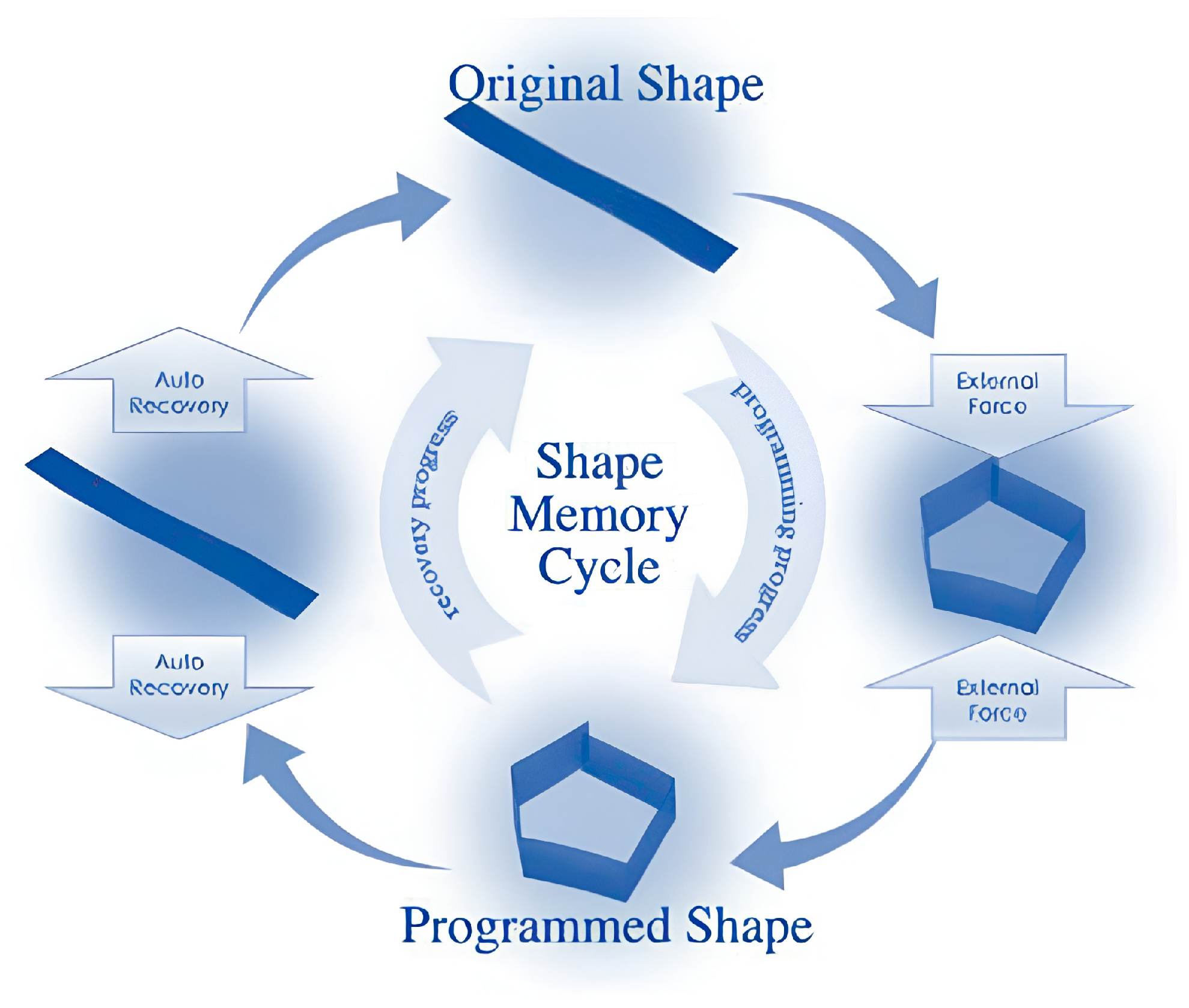 Polymers 17 02464 g008