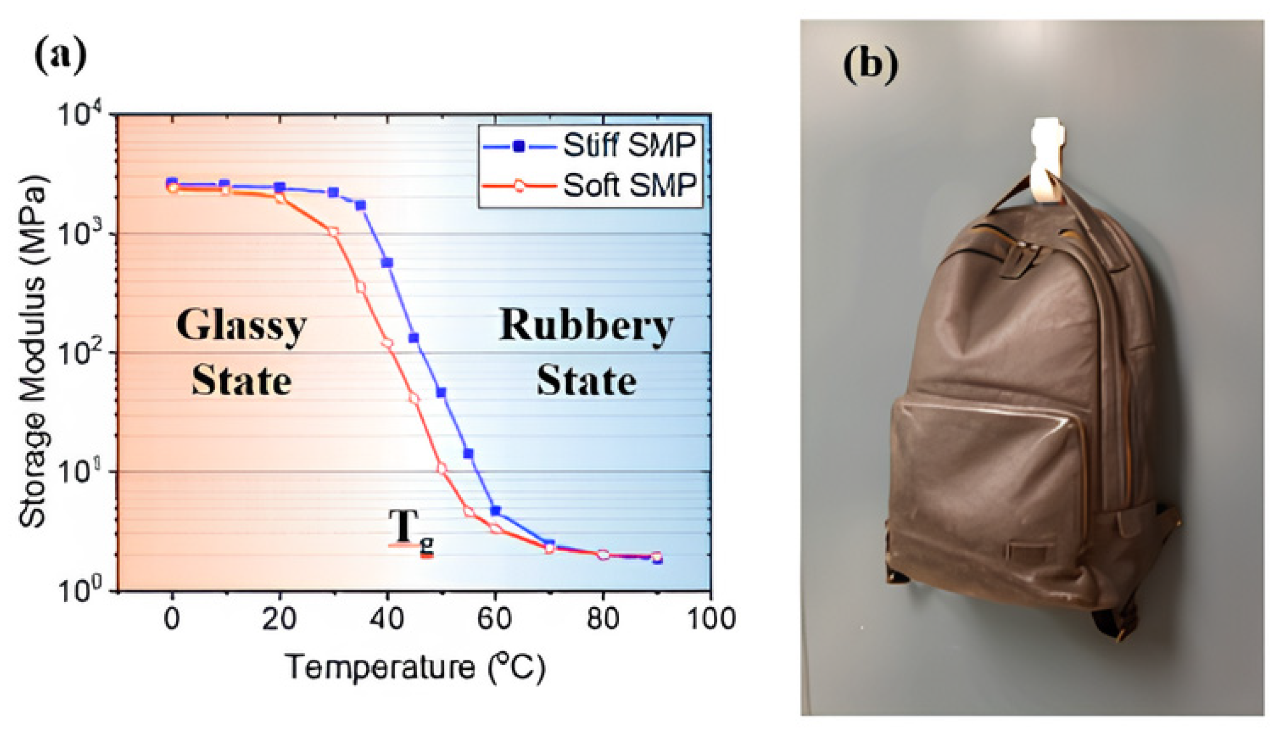 Polymers 17 02464 g009