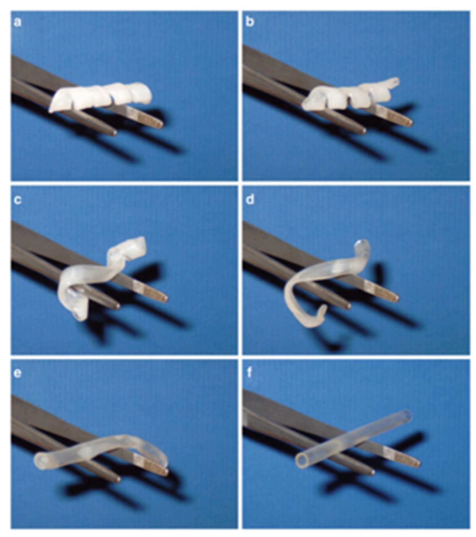 Polymers 17 02464 g013