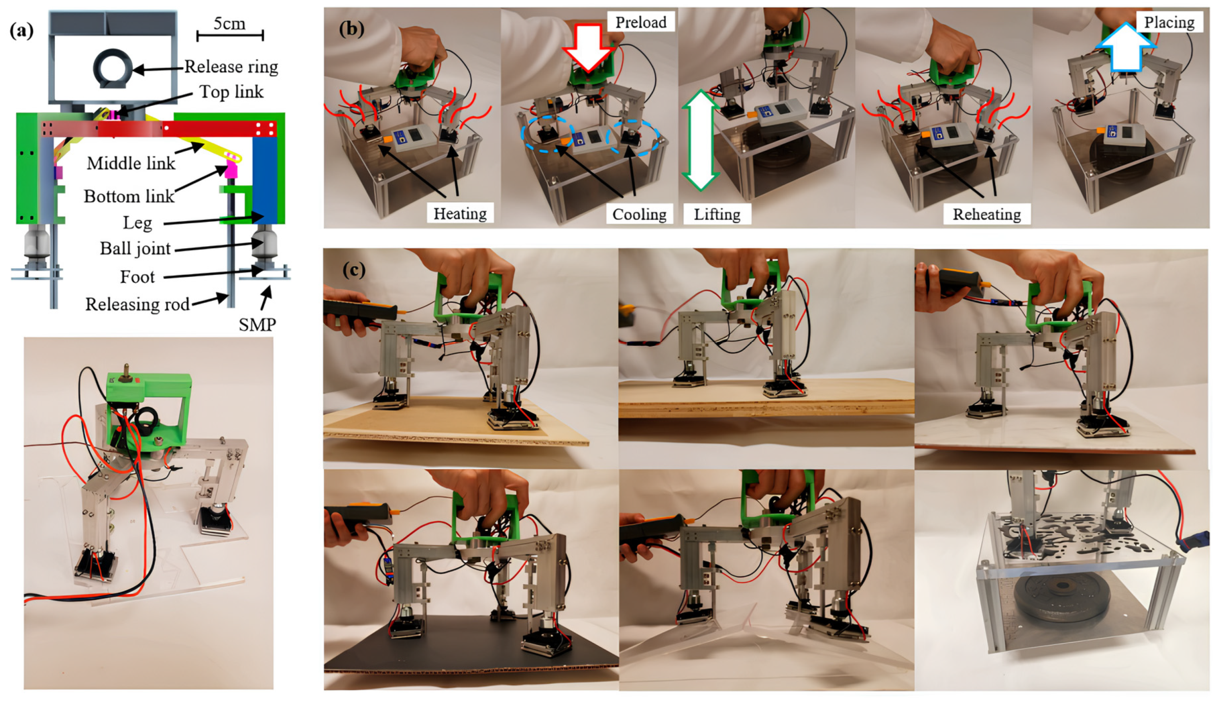 Polymers 17 02464 g016
