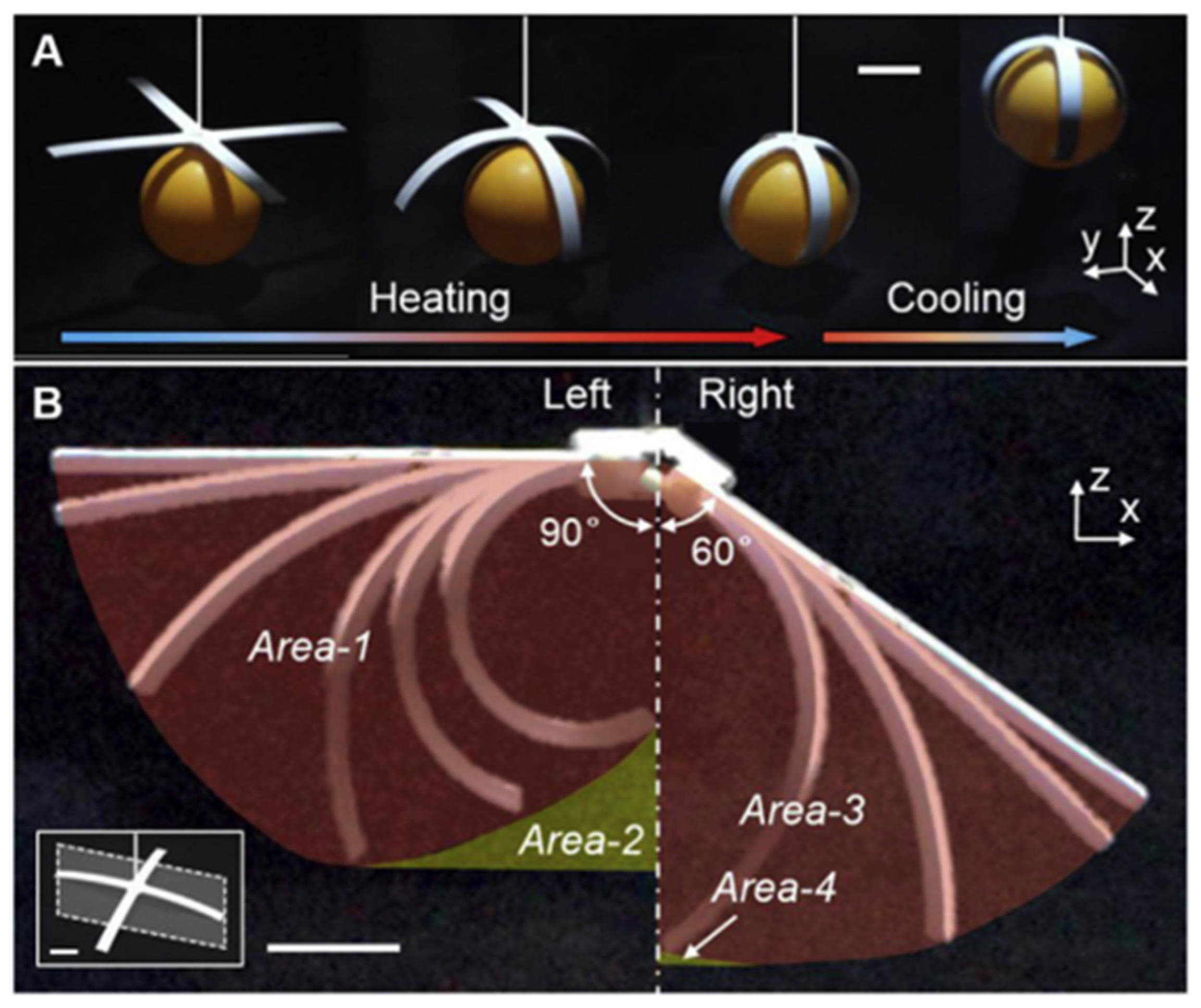 Polymers 17 02464 g018