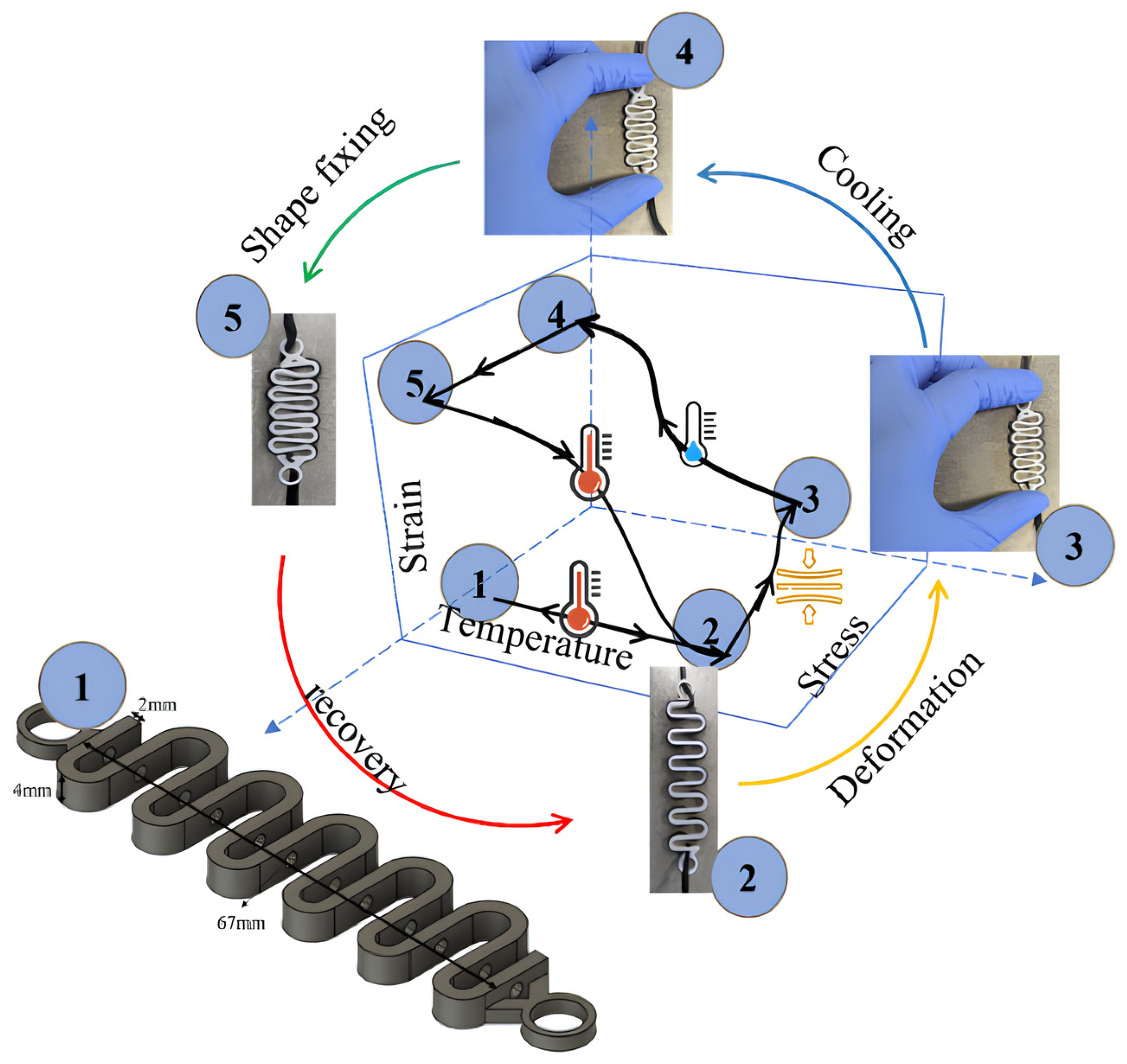Polymers 17 02464 g020