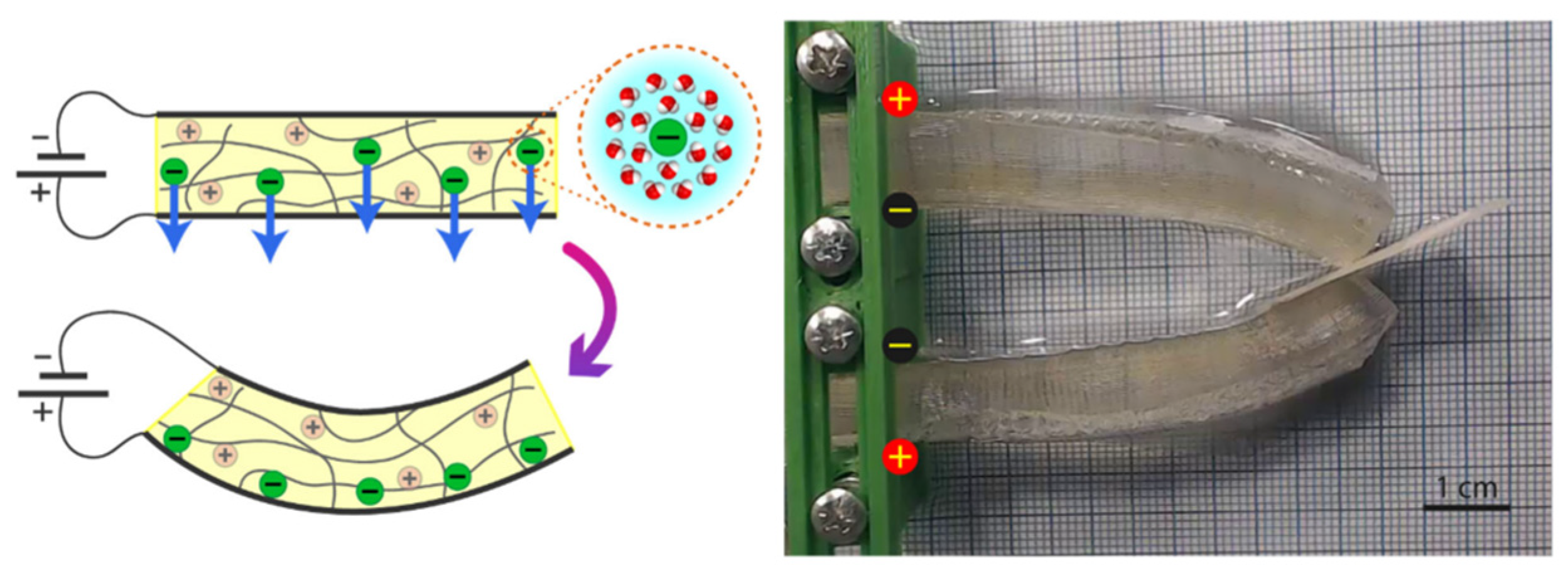 Polymers 17 02464 g021