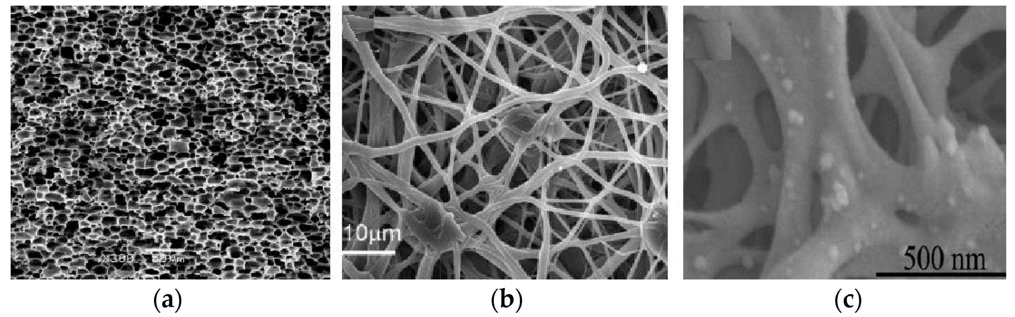 Polymers 17 02465 g001