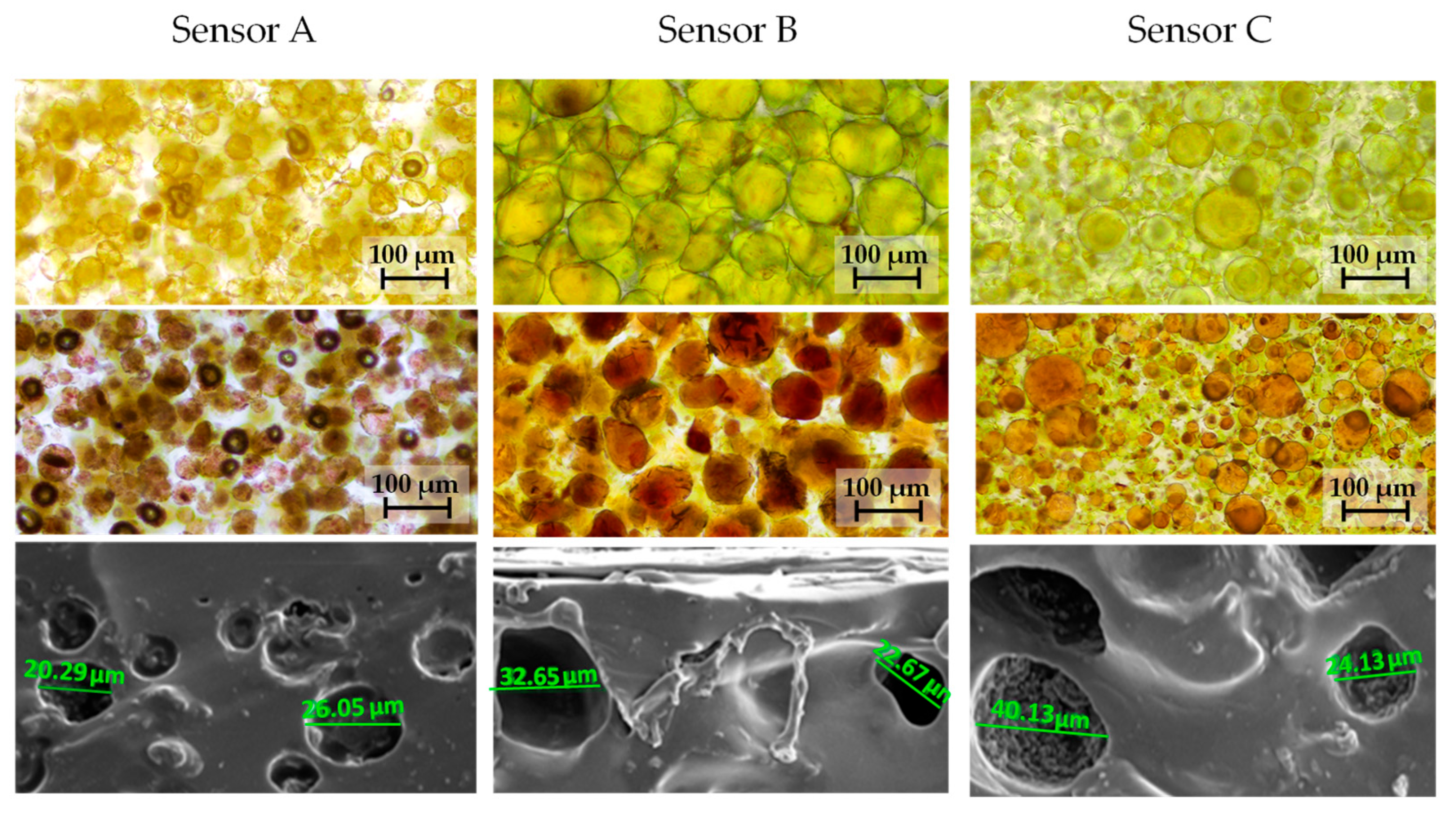 Polymers 17 02466 g006