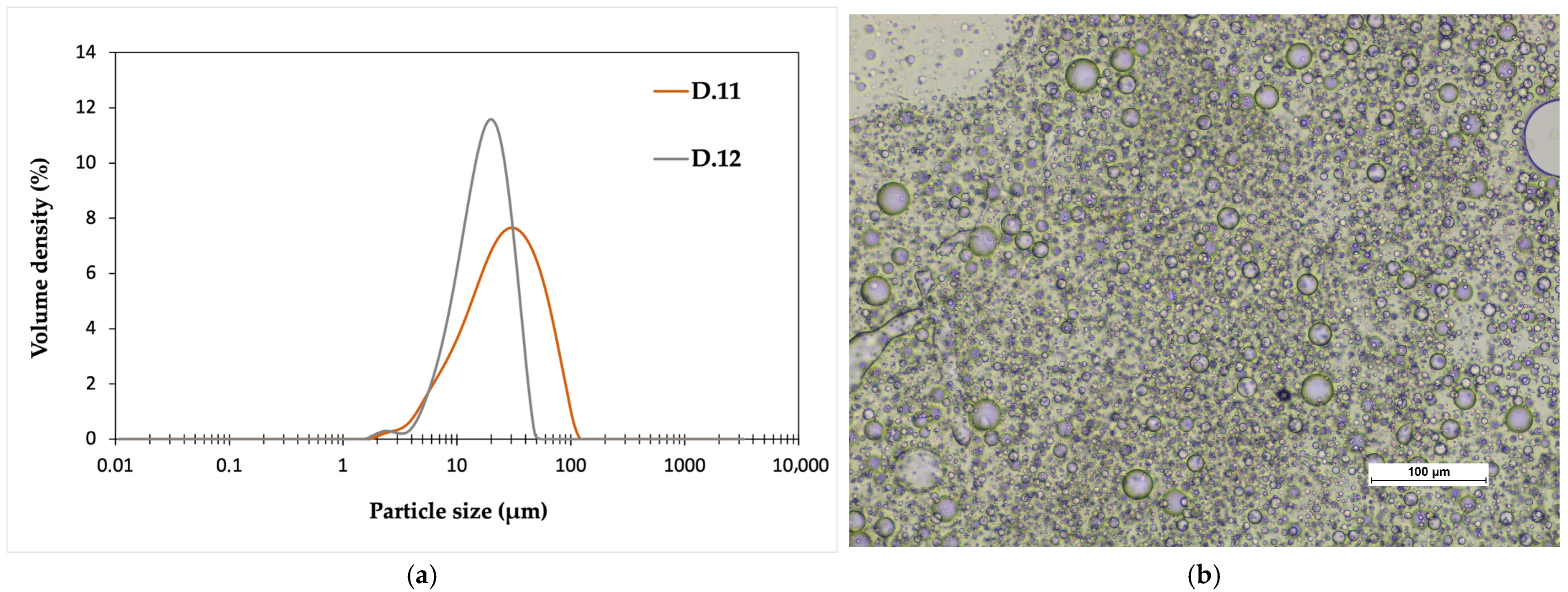Polymers 17 02467 g004