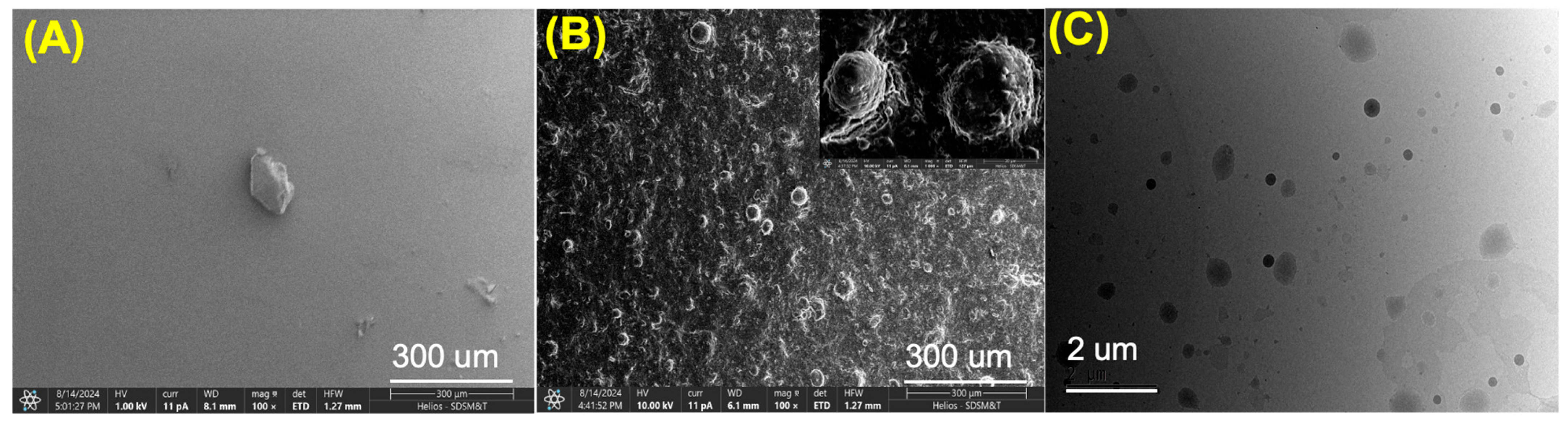Polymers 17 02470 g003