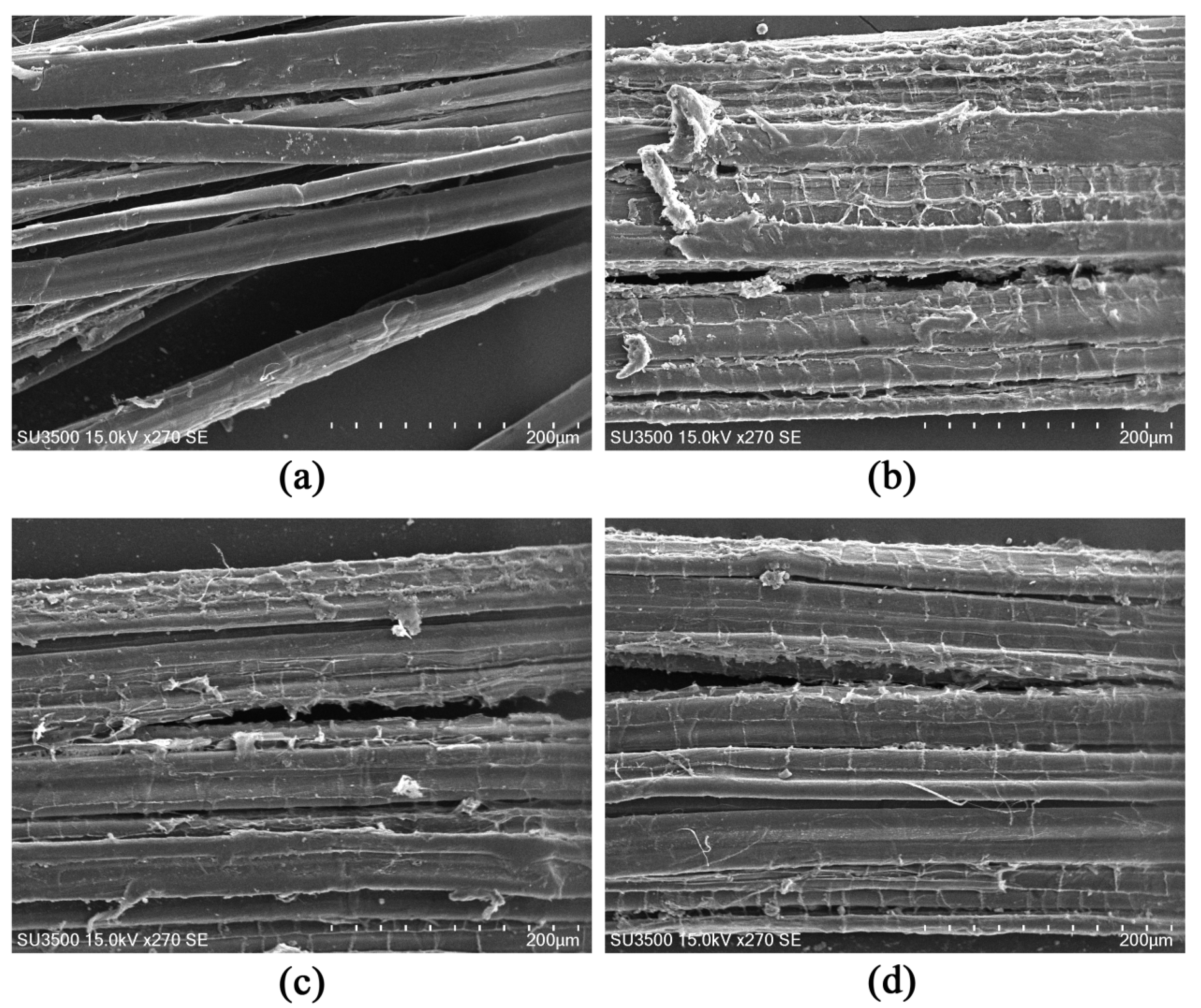 Polymers 17 02473 g004 Polymers 17 02473 g004