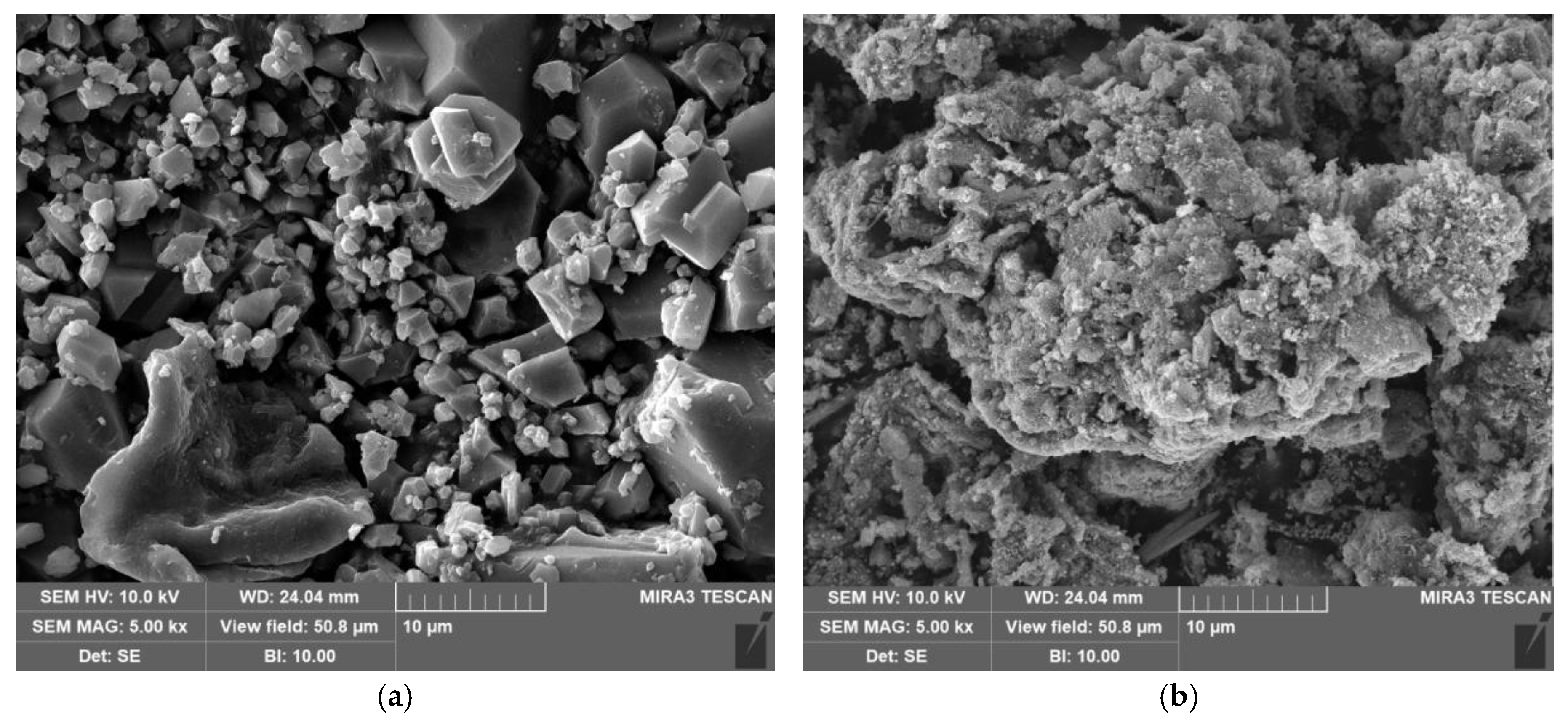Polymers 17 02474 g005 Polymers 17 02474 g005