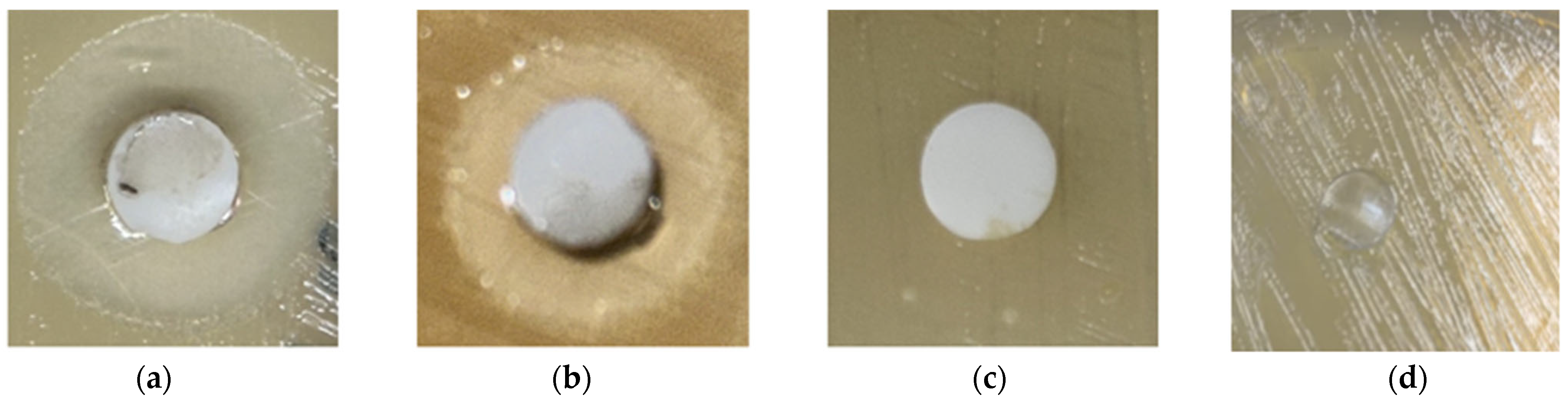 Polymers 17 02482 g006 Polymers 17 02482 g006