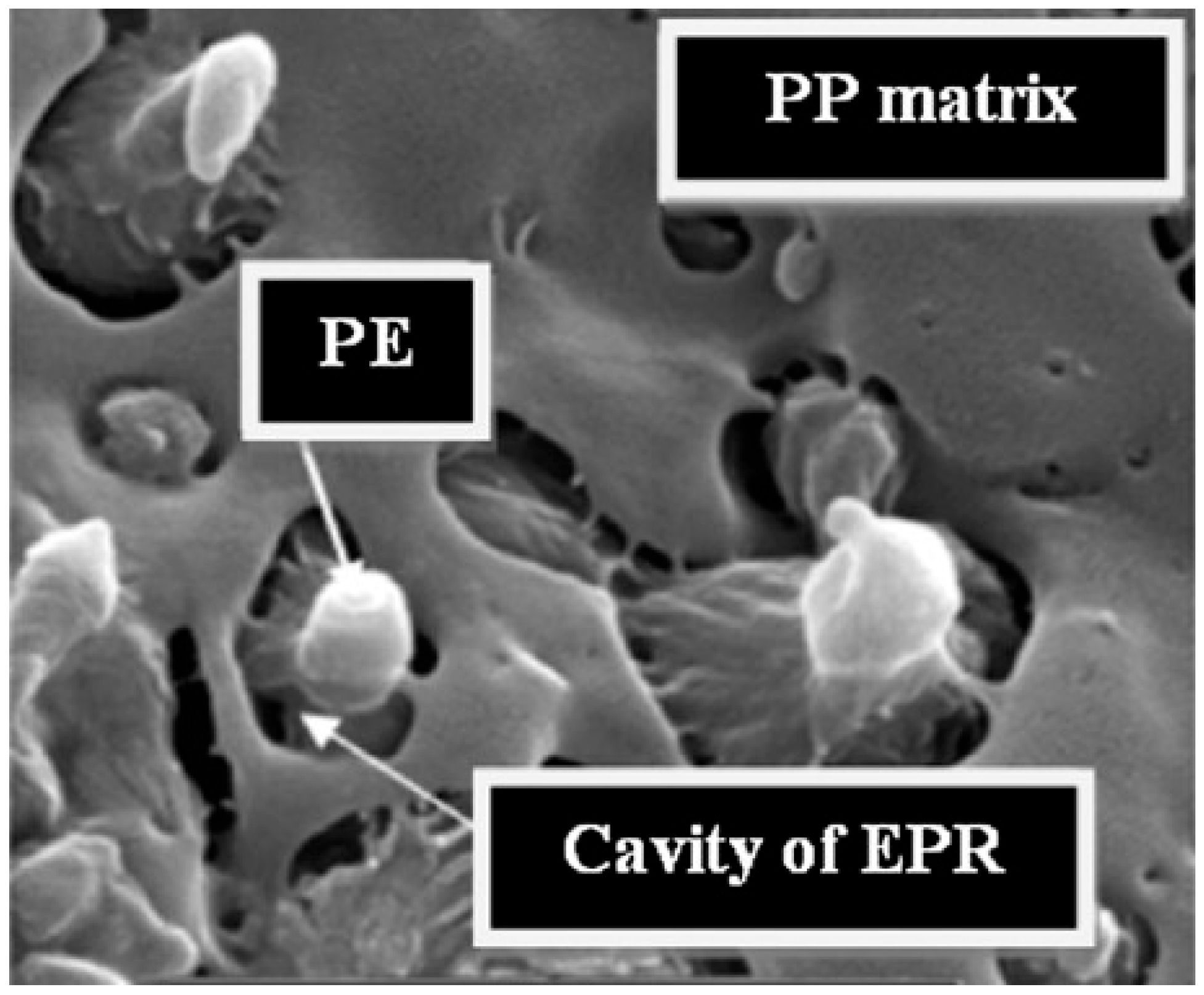 Polymers 17 02483 g006 Polymers 17 02483 g006