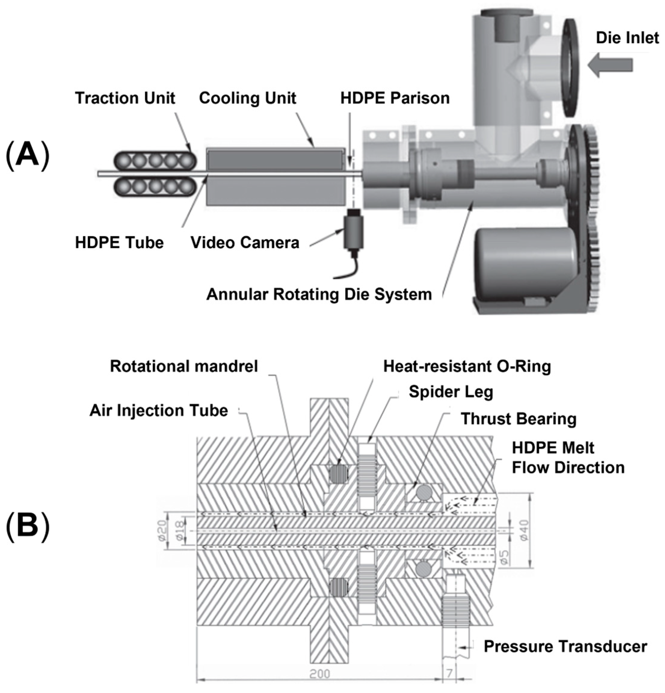 Polymers 17 02483 g007 Polymers 17 02483 g007