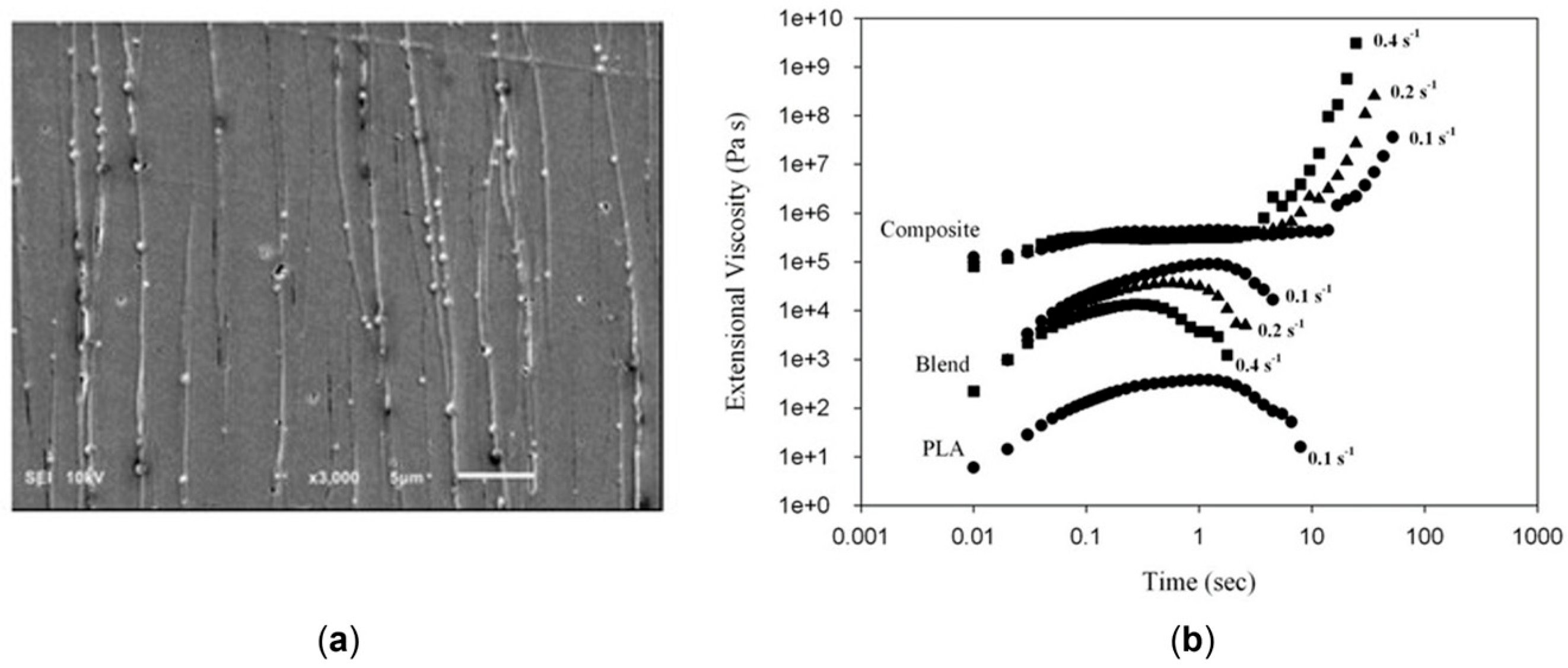 Polymers 17 02483 g024 Polymers 17 02483 g024
